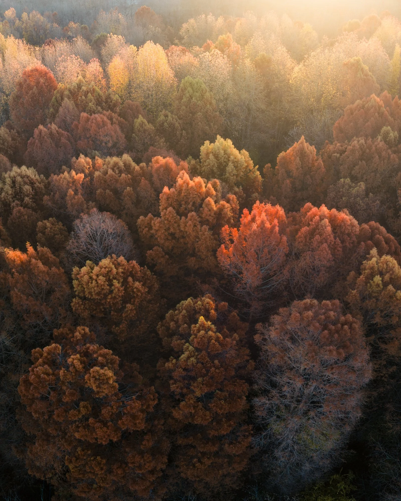 DJI_0216-HDR-Pano-Edit.jpg