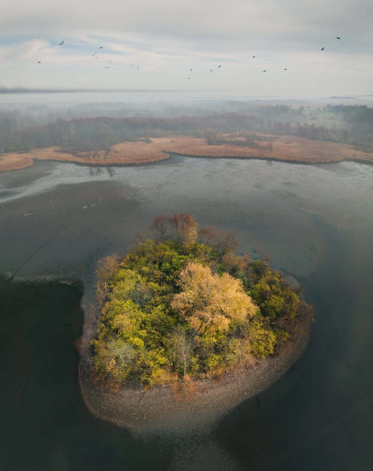 DJI_0256-Edit-Edit.jpg