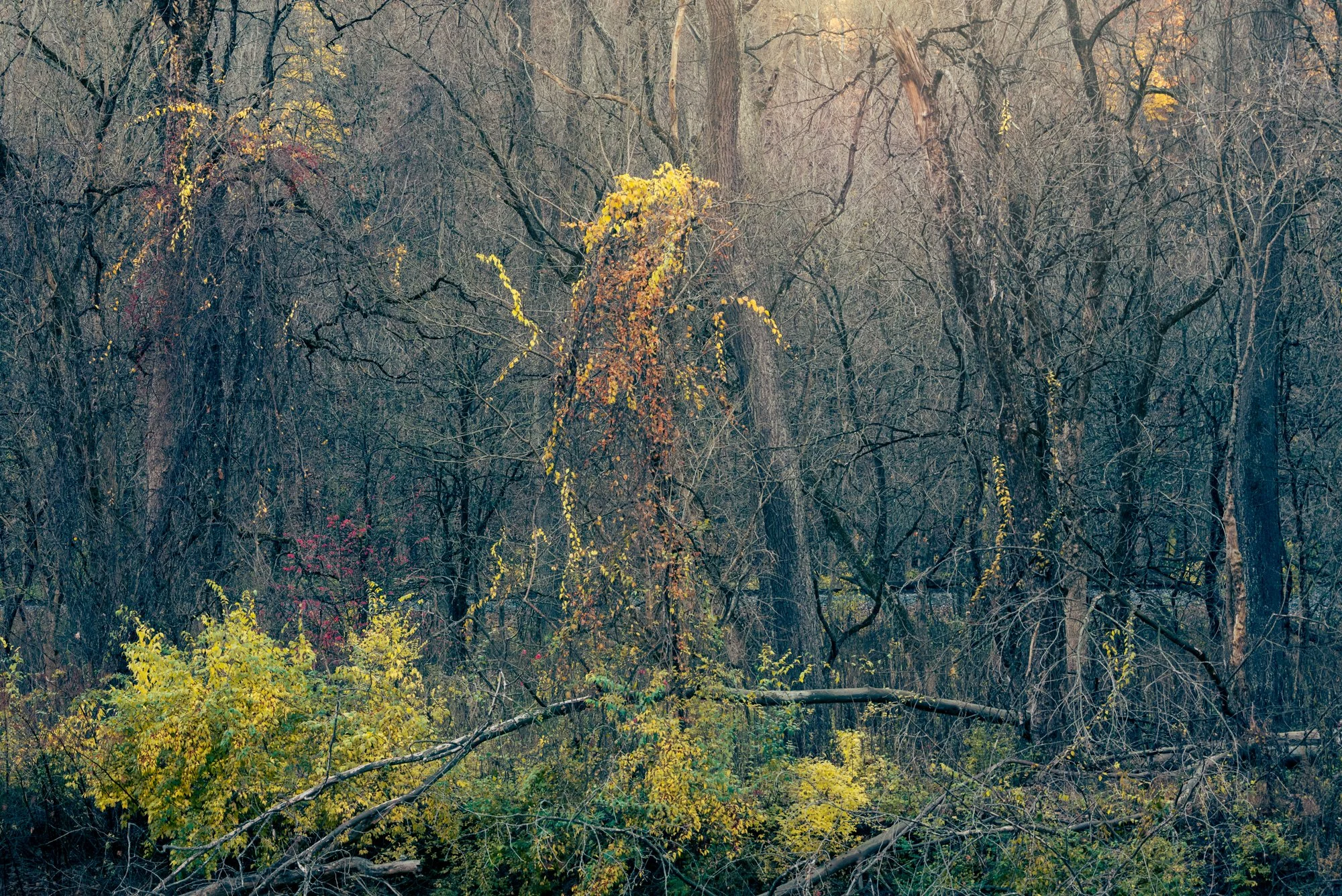 DSC00111-Edit2.jpg