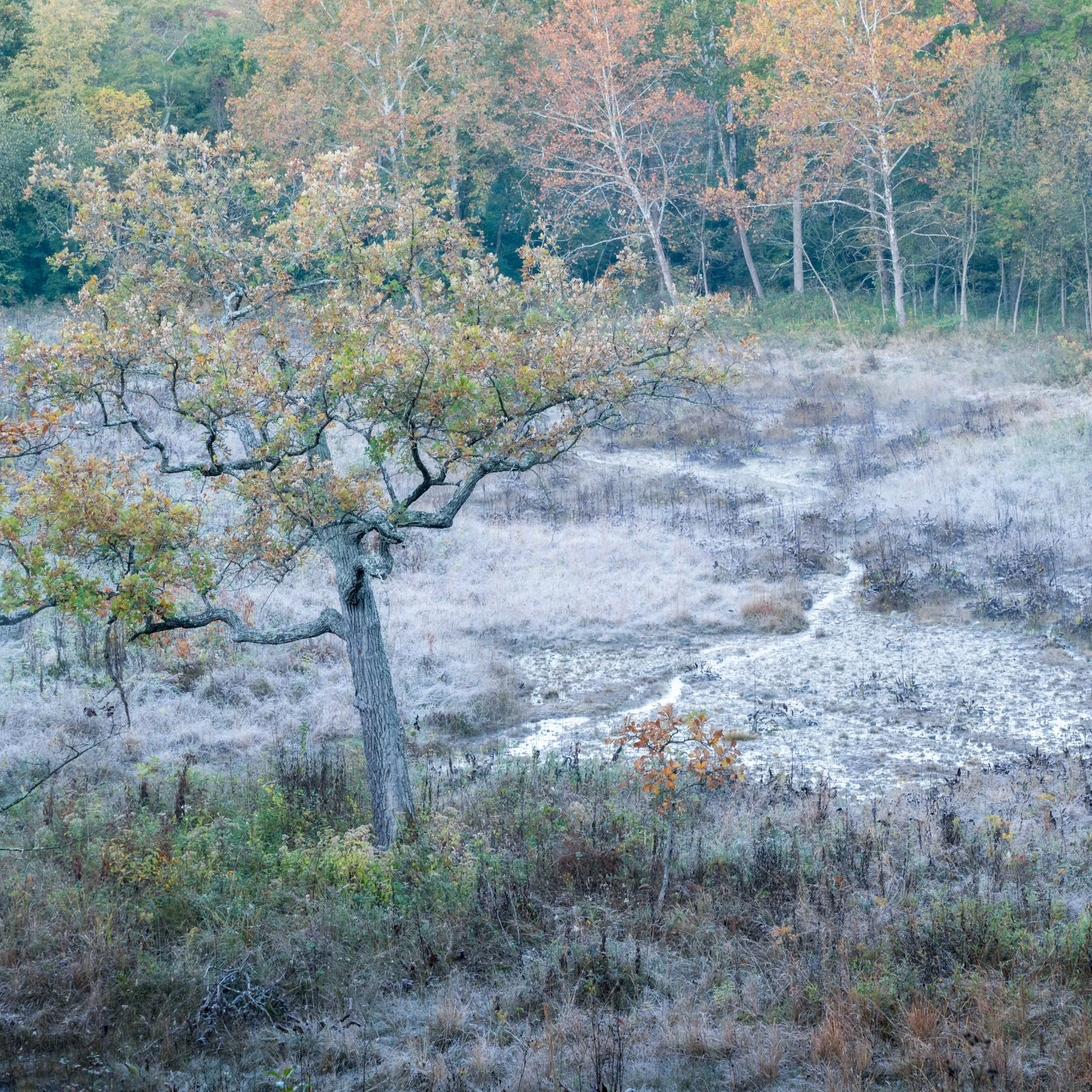 DSC00679-Edit.jpg