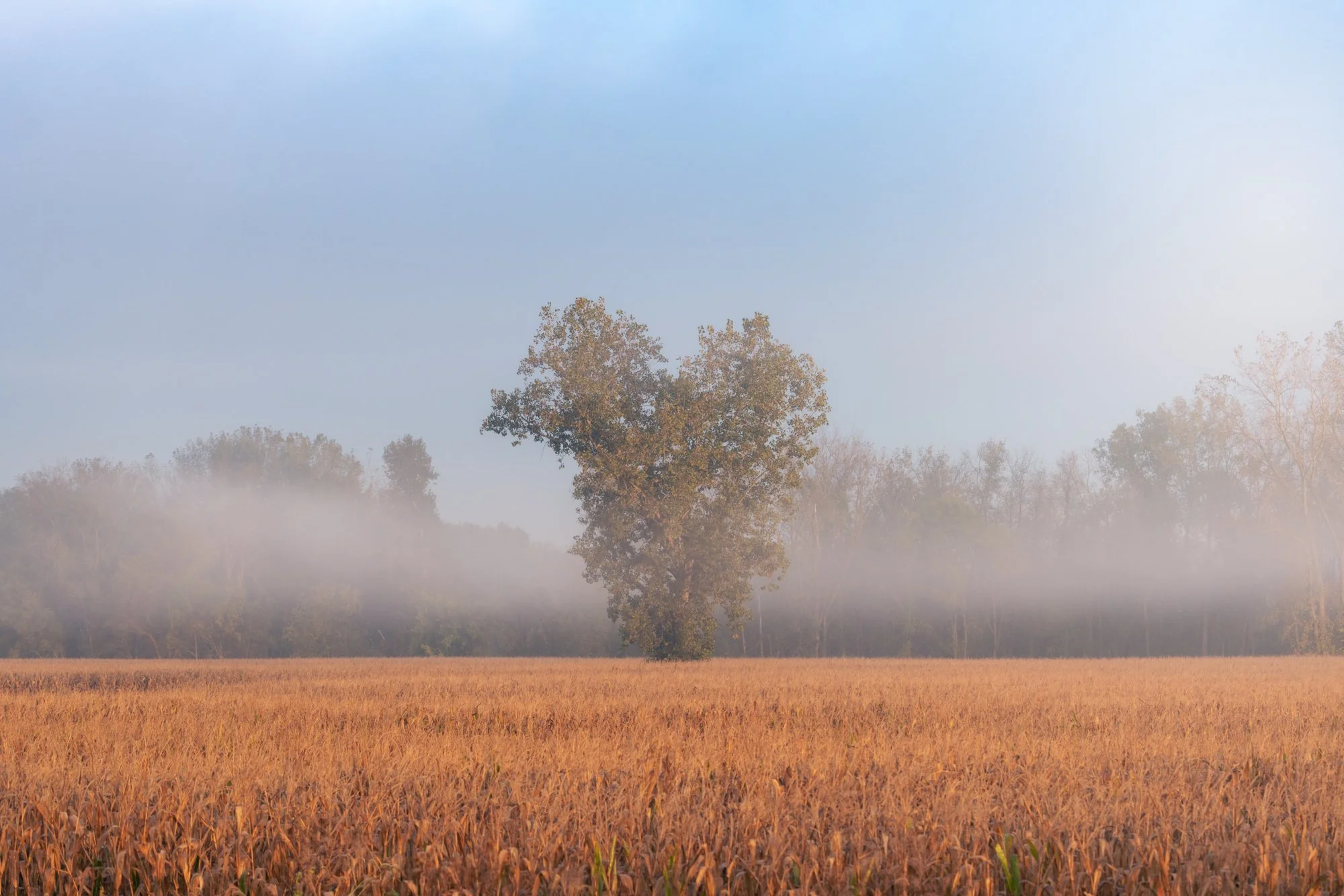 DSC01721-Edit.jpg