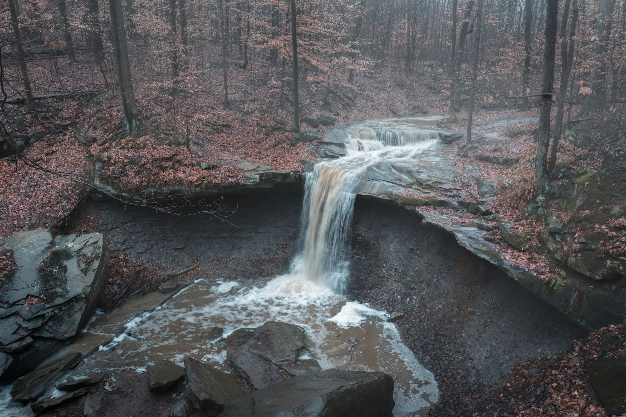 DSC03589-Edit.jpg
