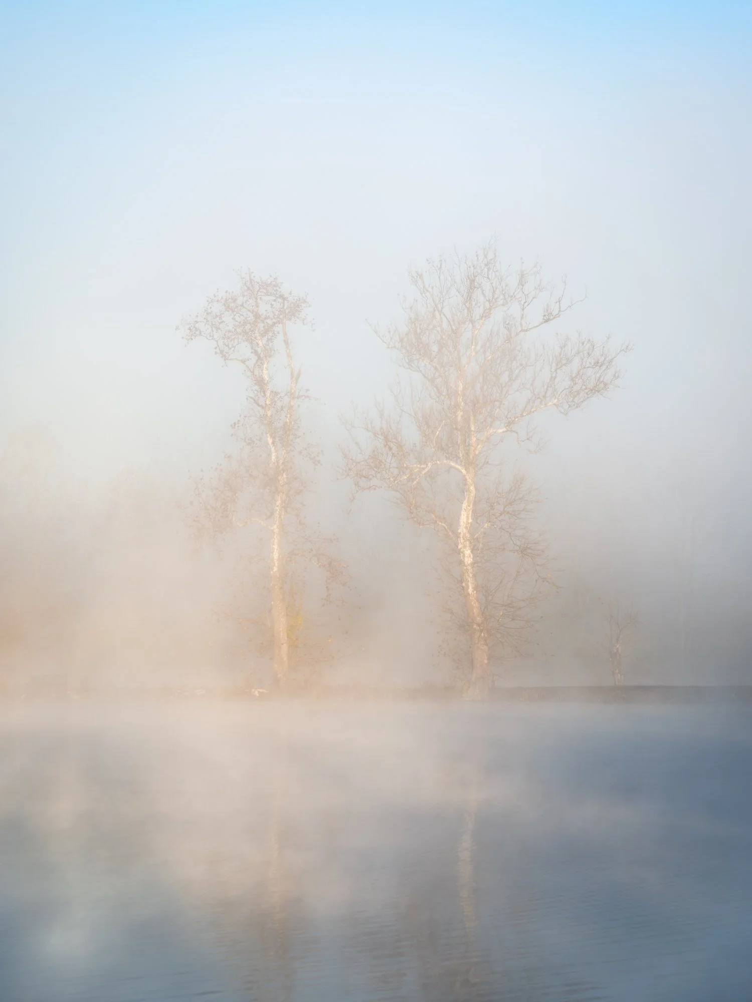 DSC06646-Edit.jpg