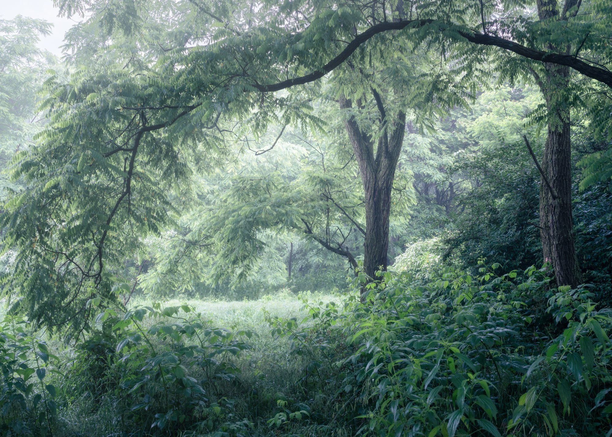 DSC06881-HDR-Edit.jpg