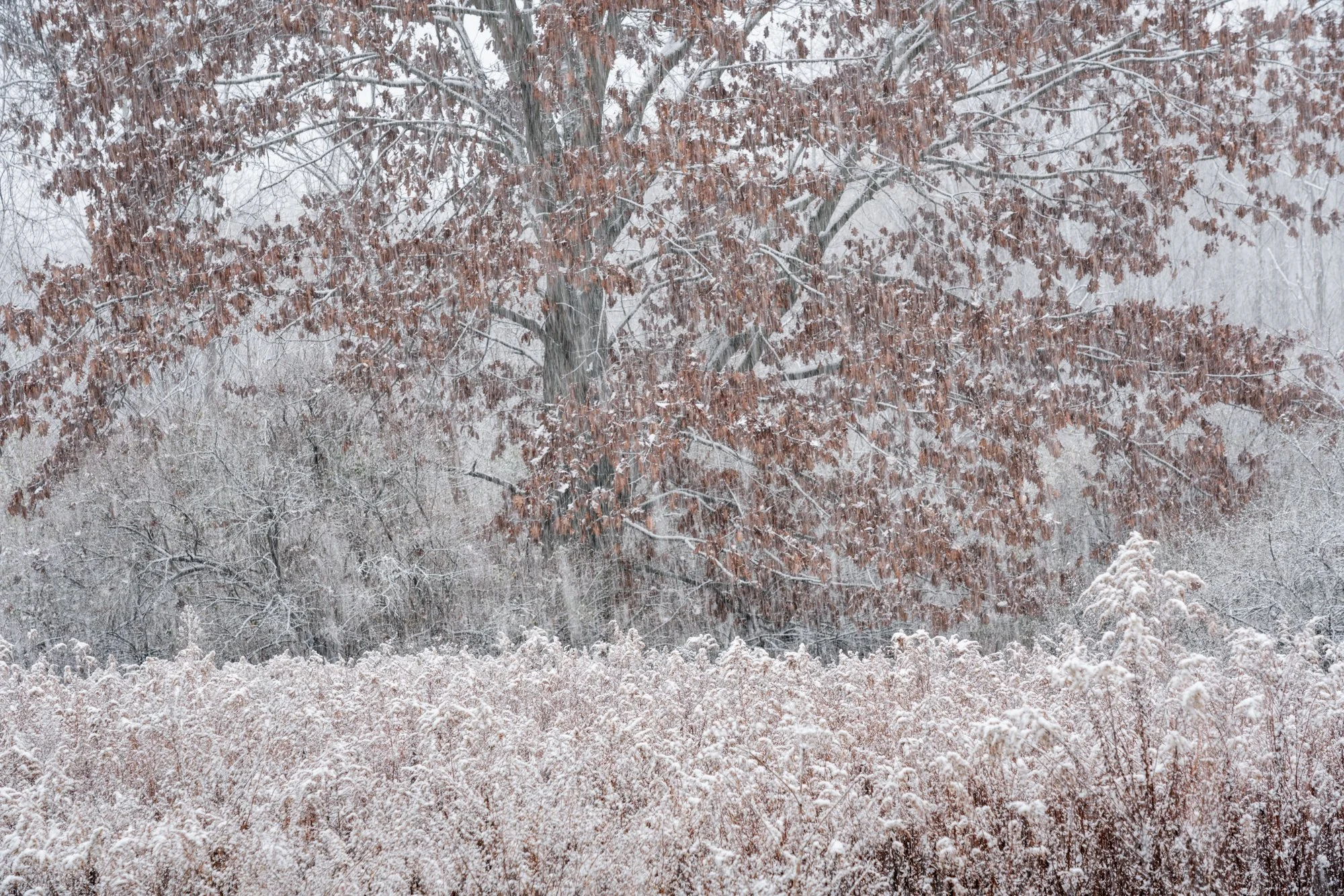 DSC07707-Edit.jpg