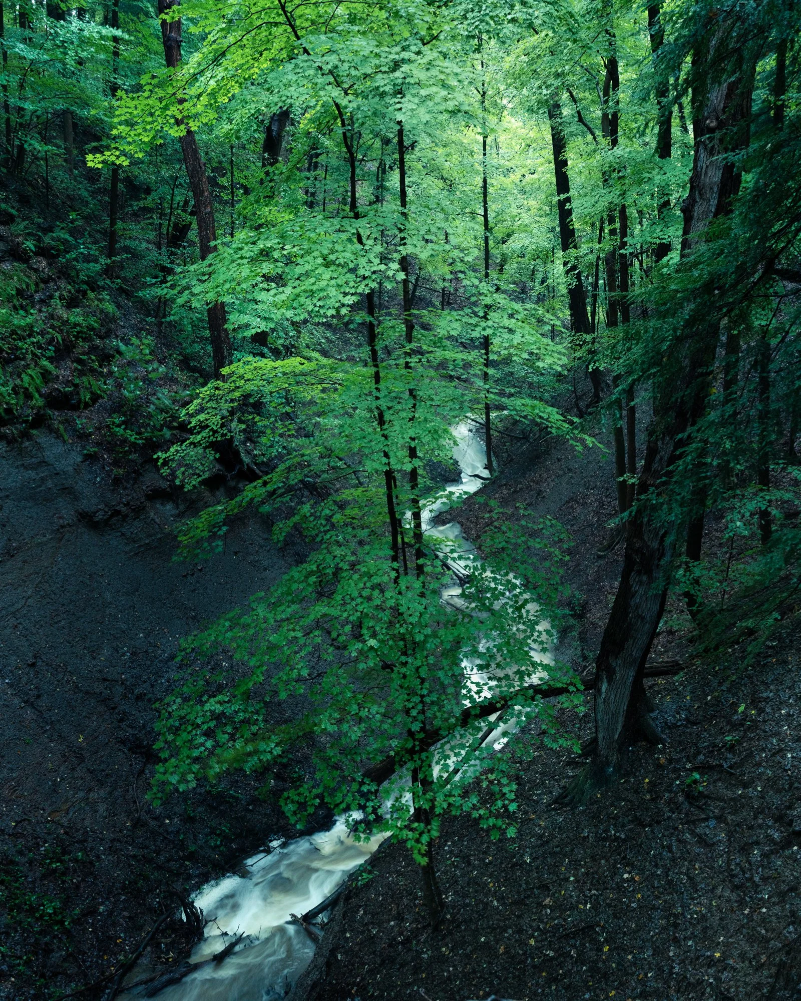 DSC08692.jpg