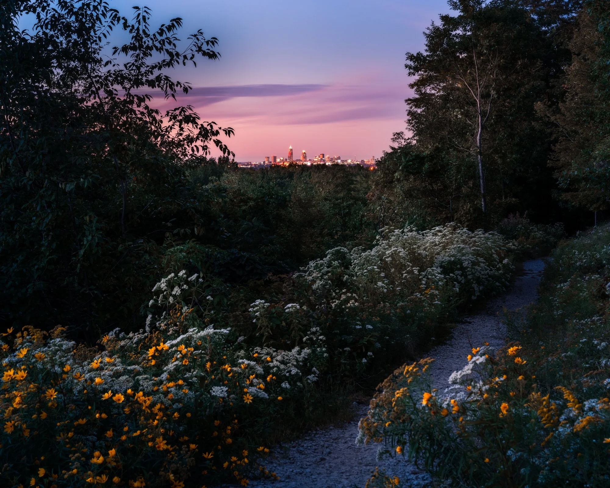 DSC08839-Edit-Edit.jpg