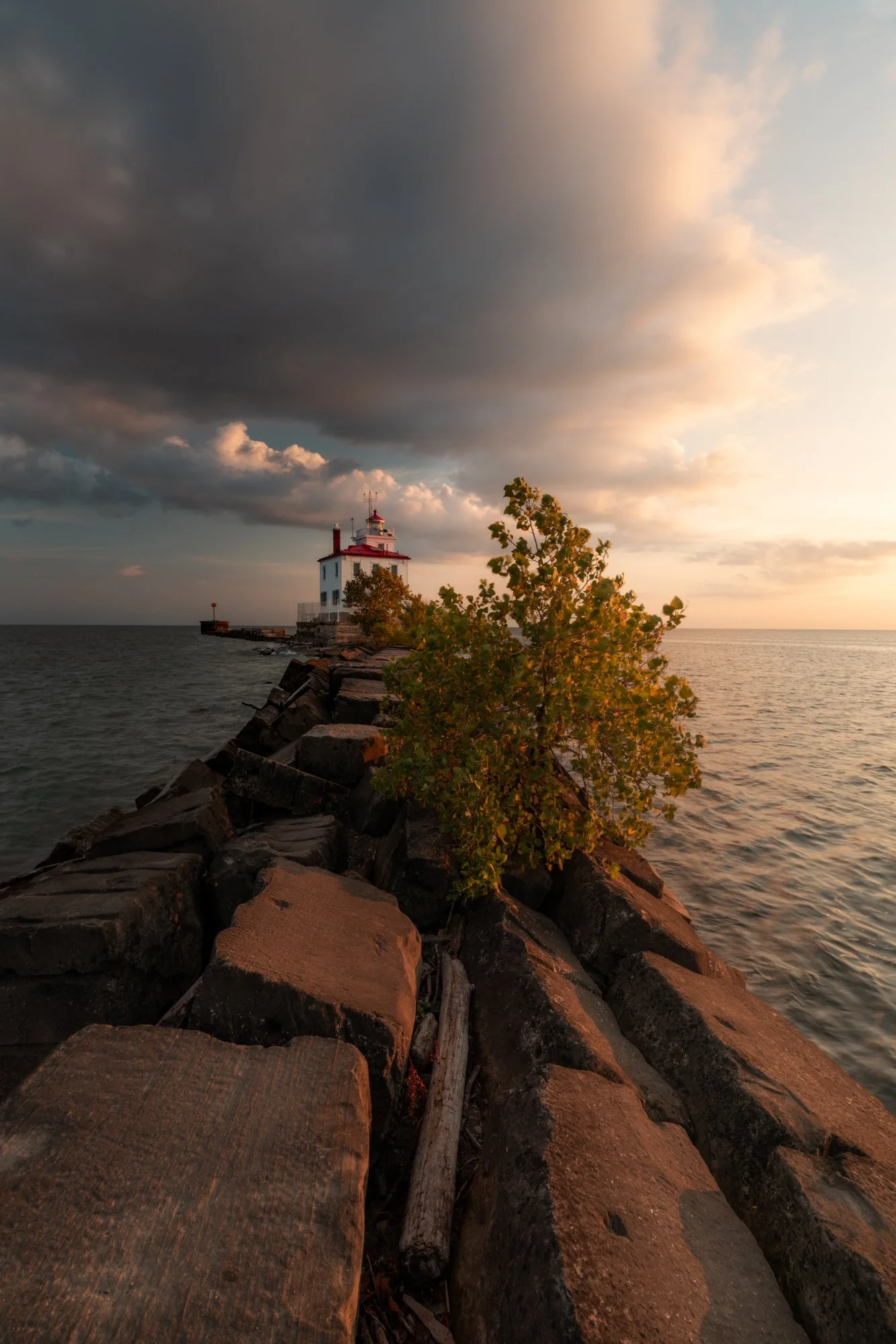 DSC08895-Edit.jpg