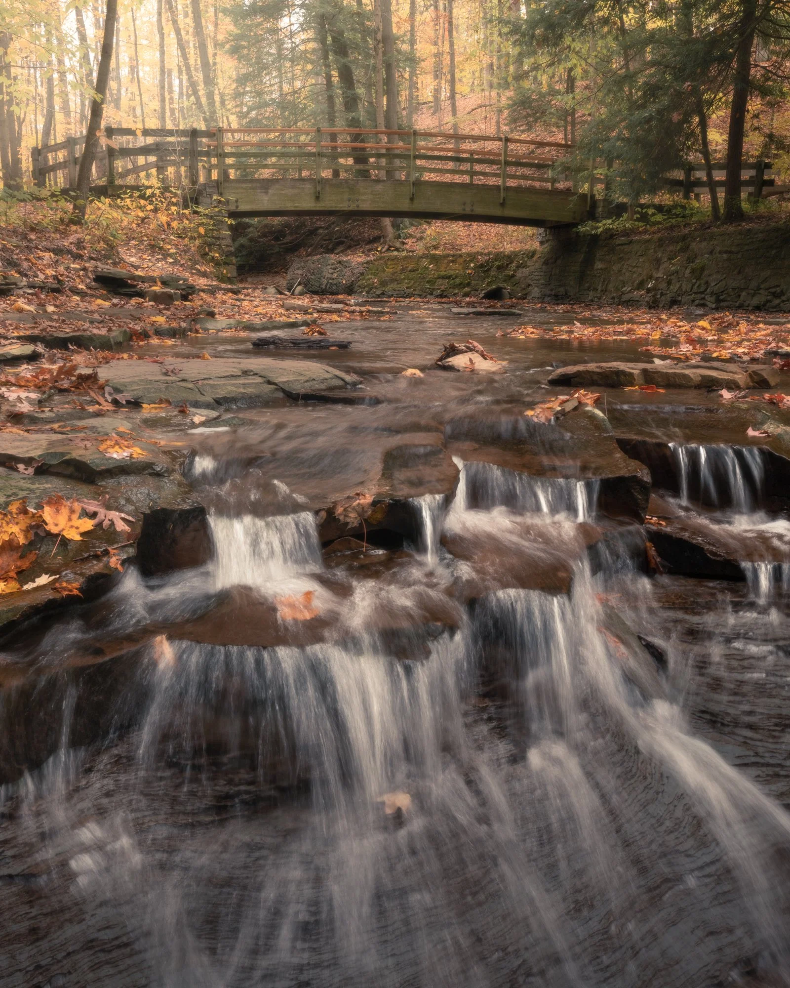 DSC09557-Edit.jpg