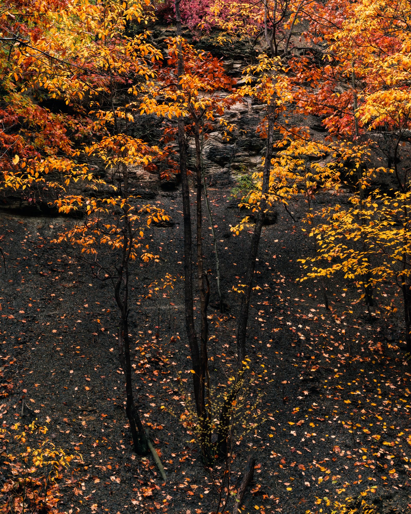 DSC09679-Edit.jpg