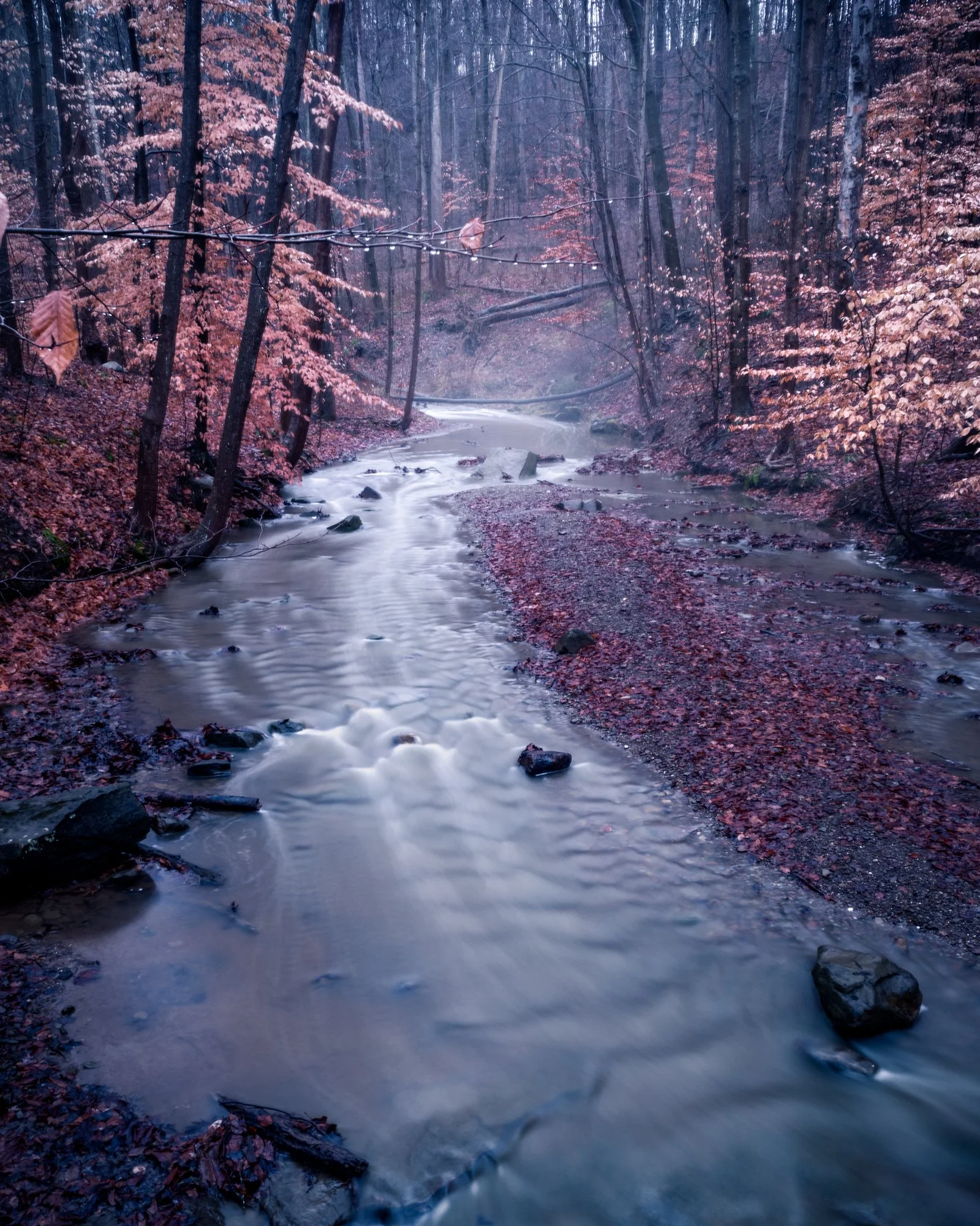 DSCF0729-Edit.jpg