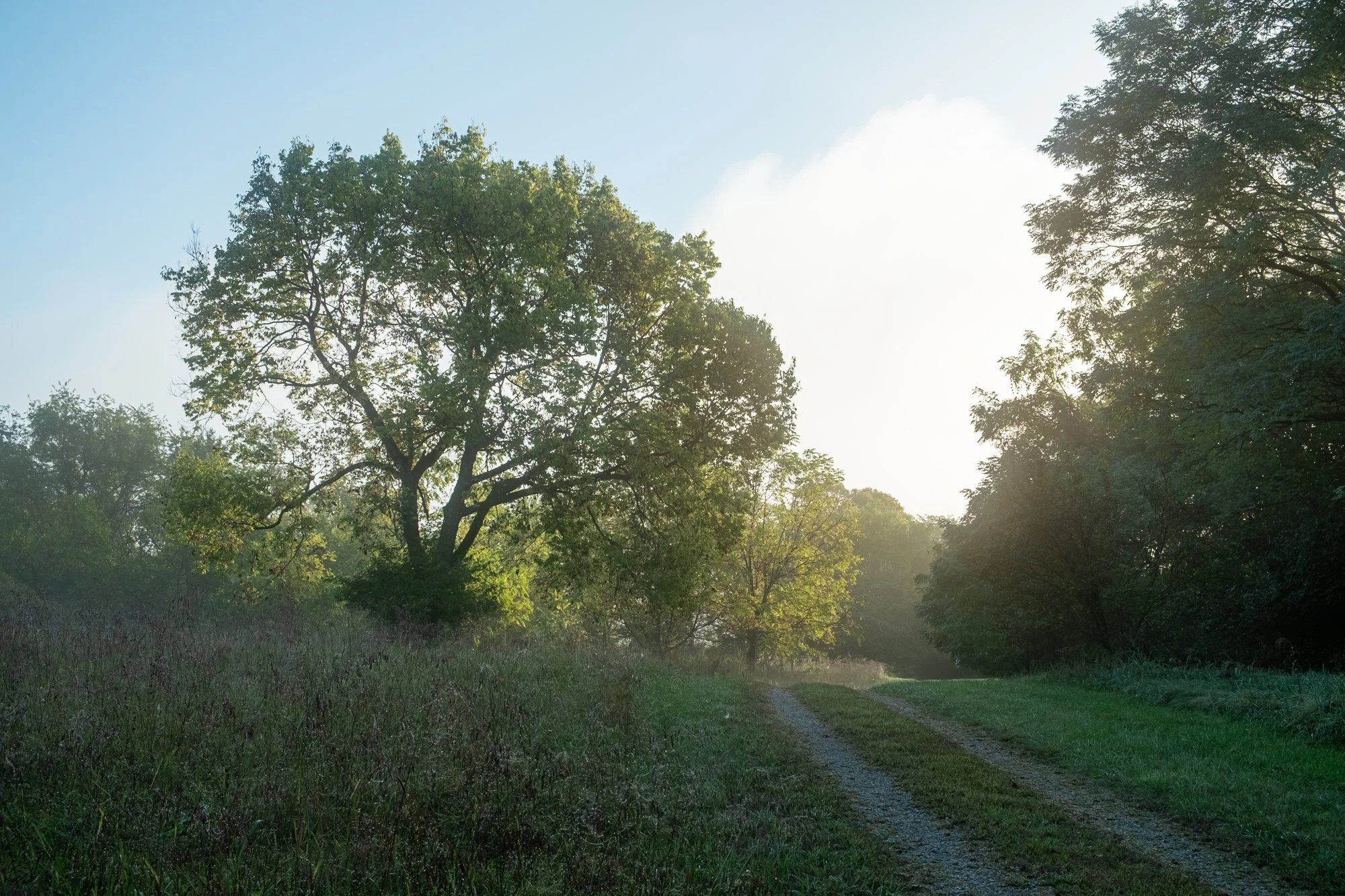 DSCF6243-HDR.jpg