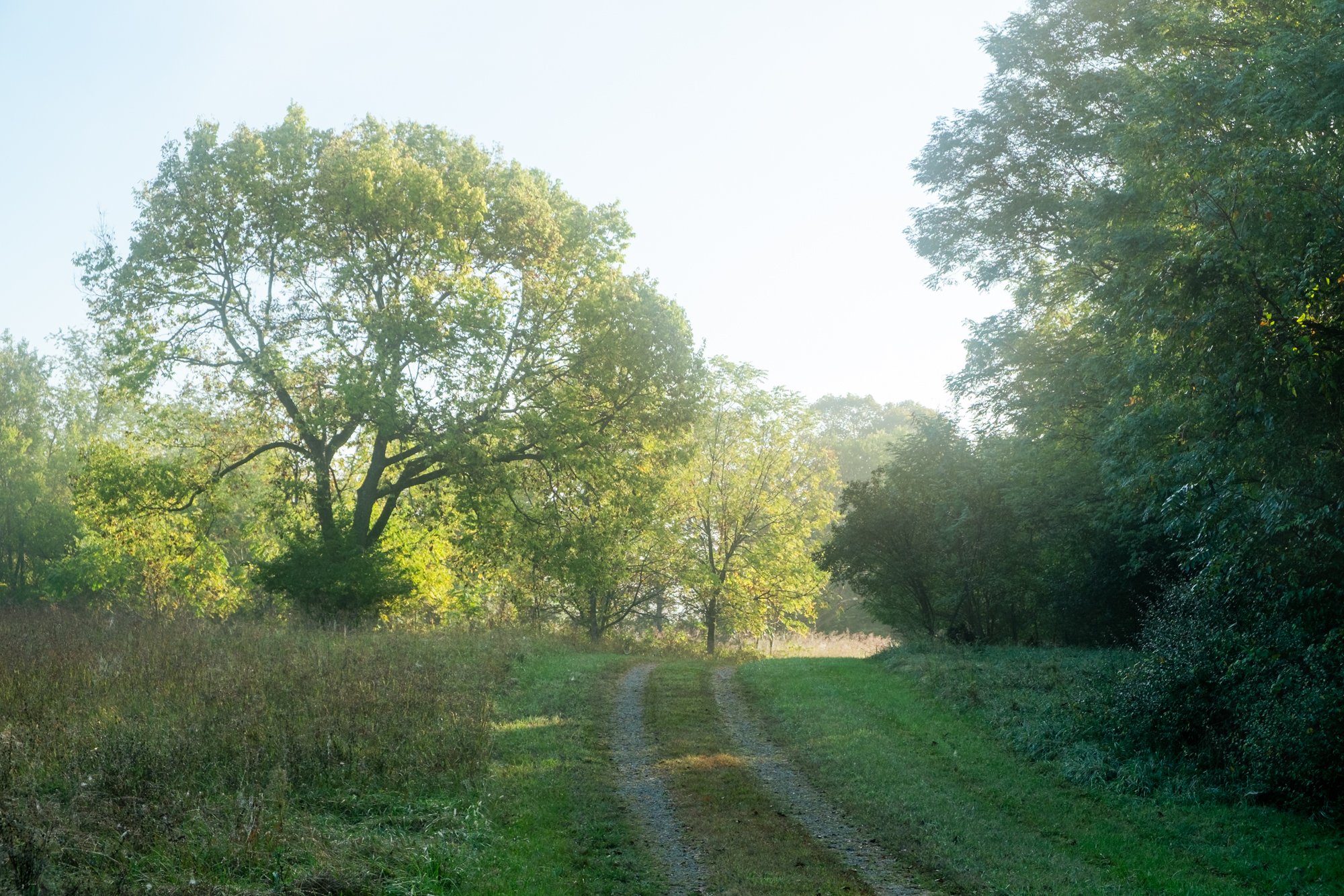 DSCF6312.jpg