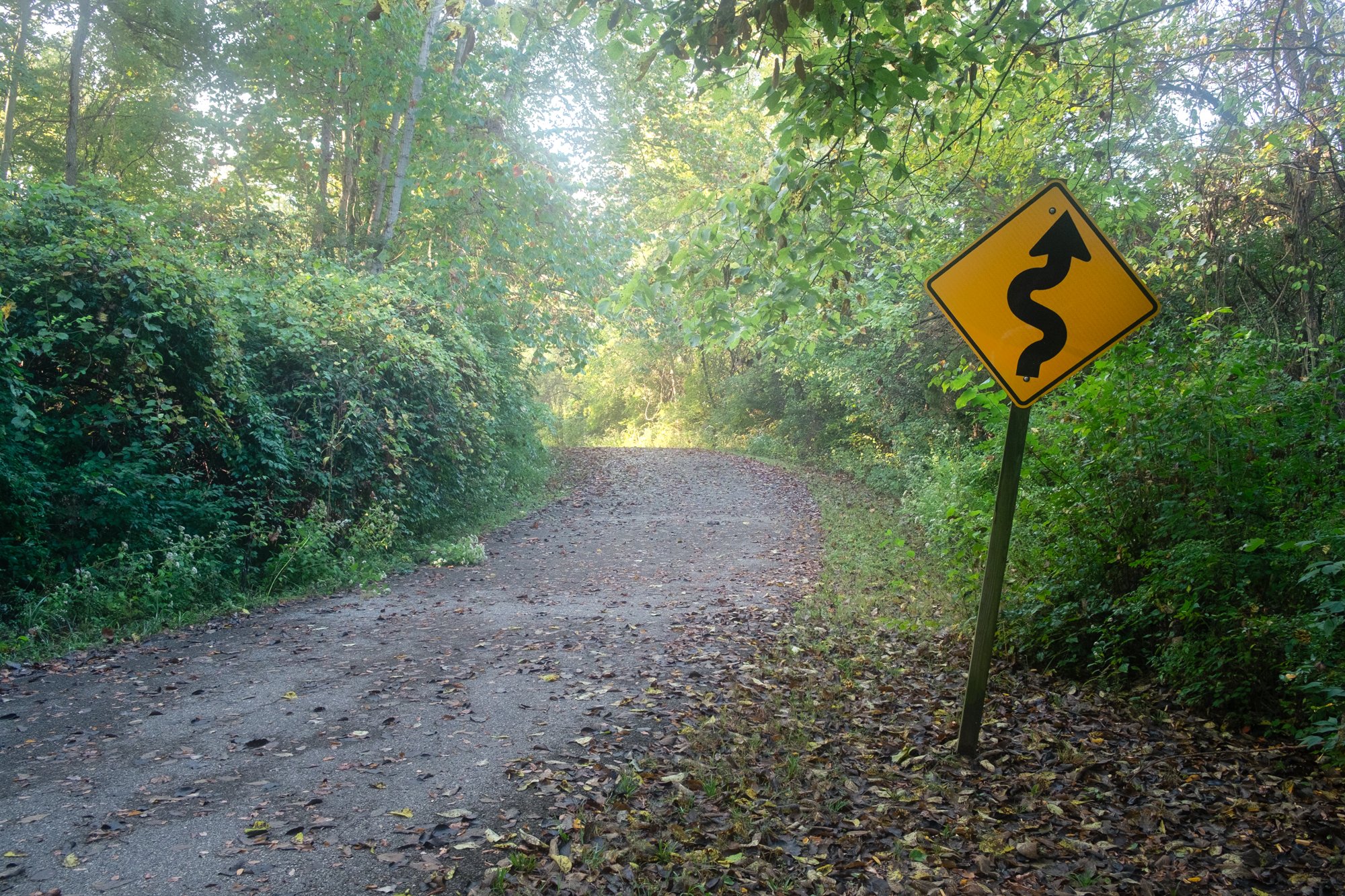 DSCF6369-HDR.jpg