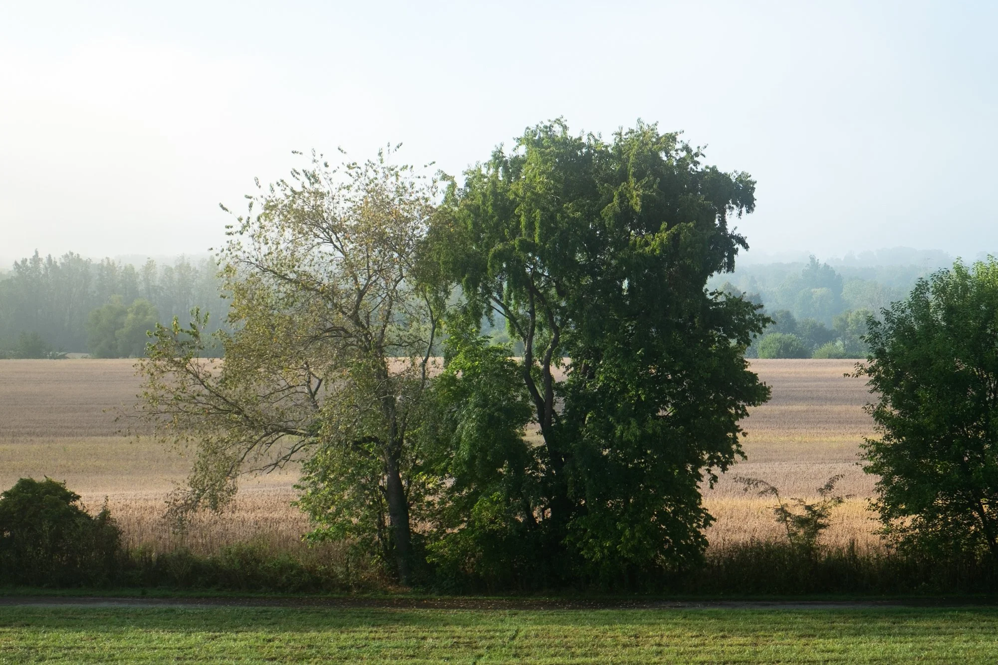 DSCF6382.jpg