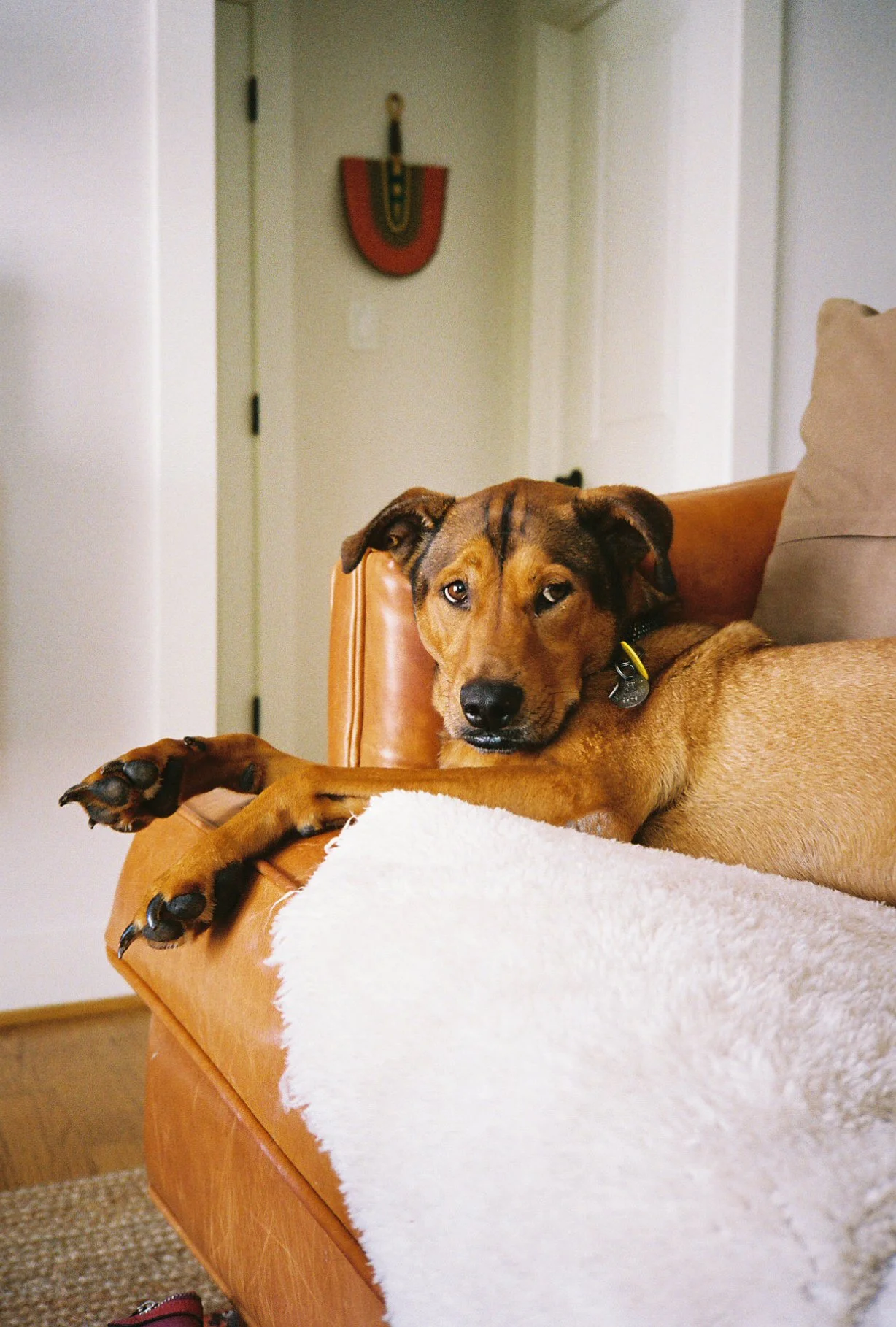 20240813-maddy12_maddy12-R1-033-15.jpg