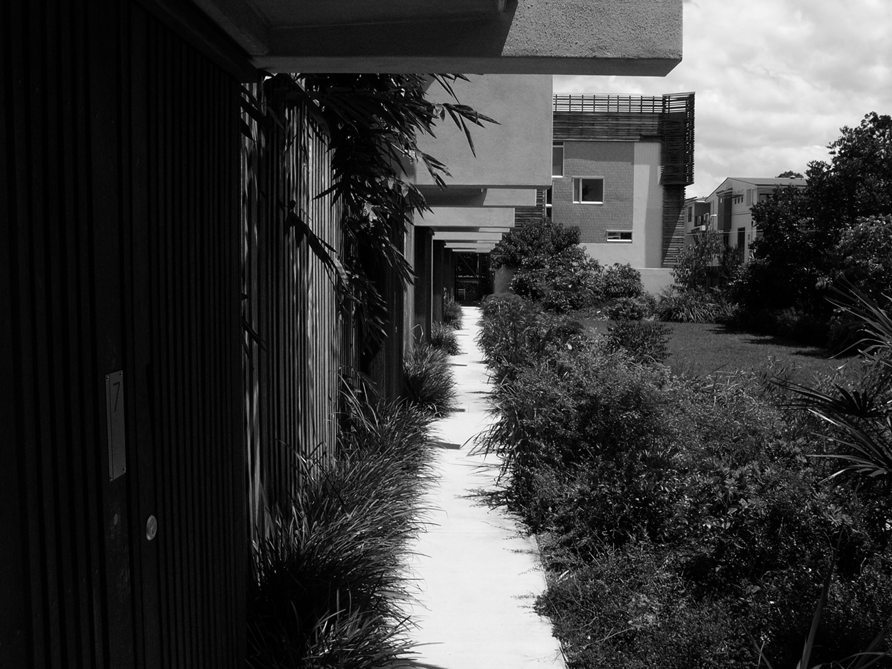 L1050358 copy.jpg