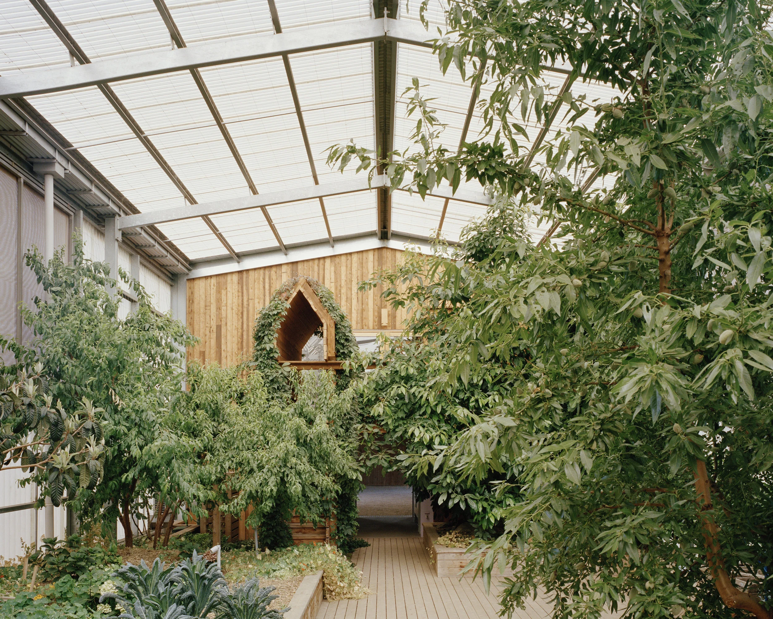 Daylesford Longhouse, view to Stablemans