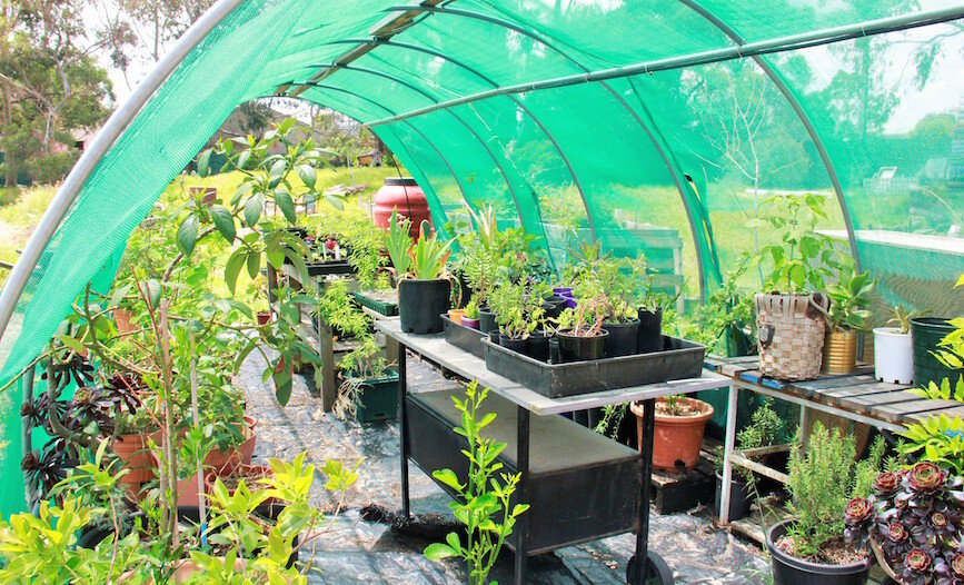 Home- Garden.JPG