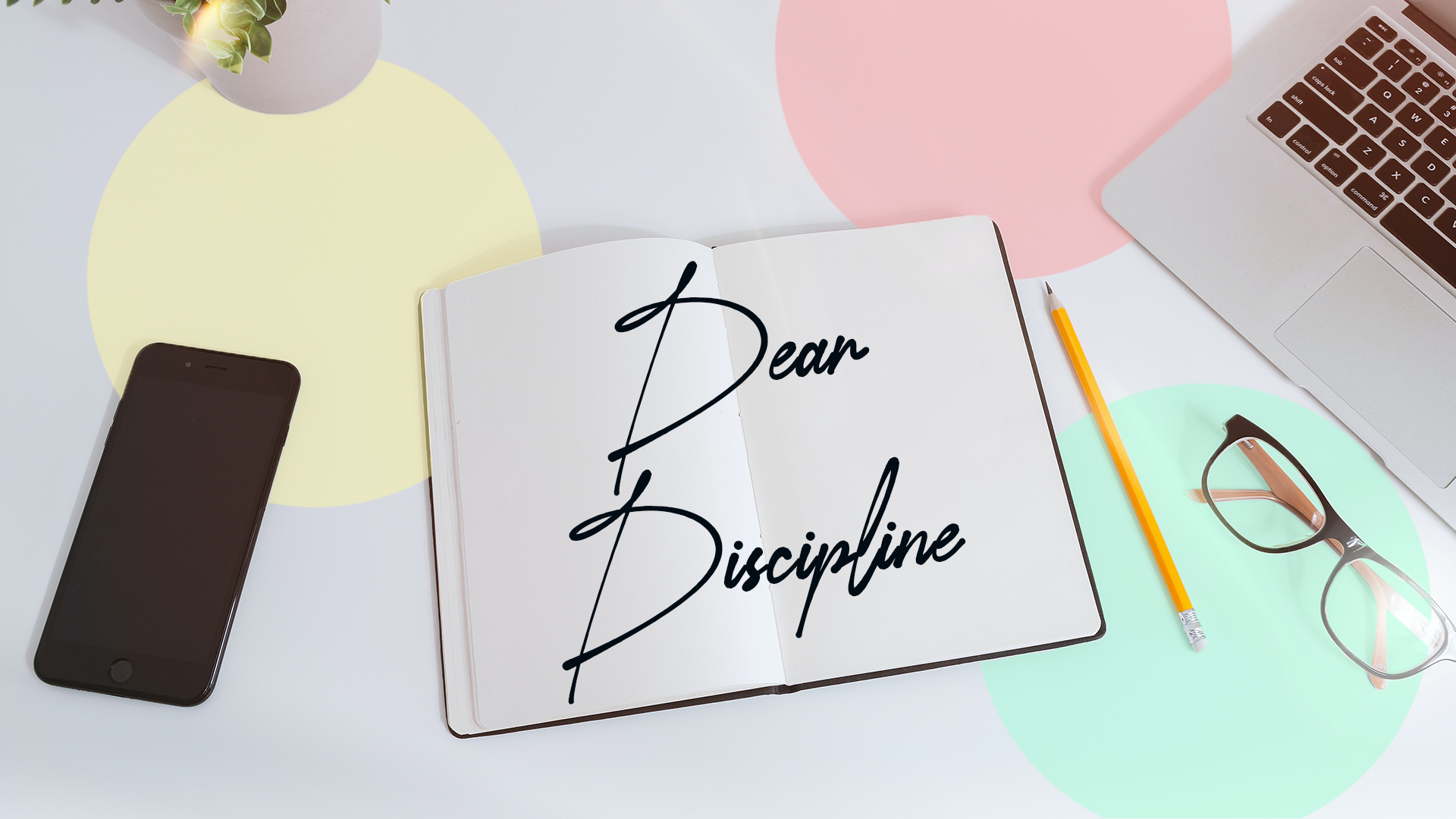 Dear Discipline