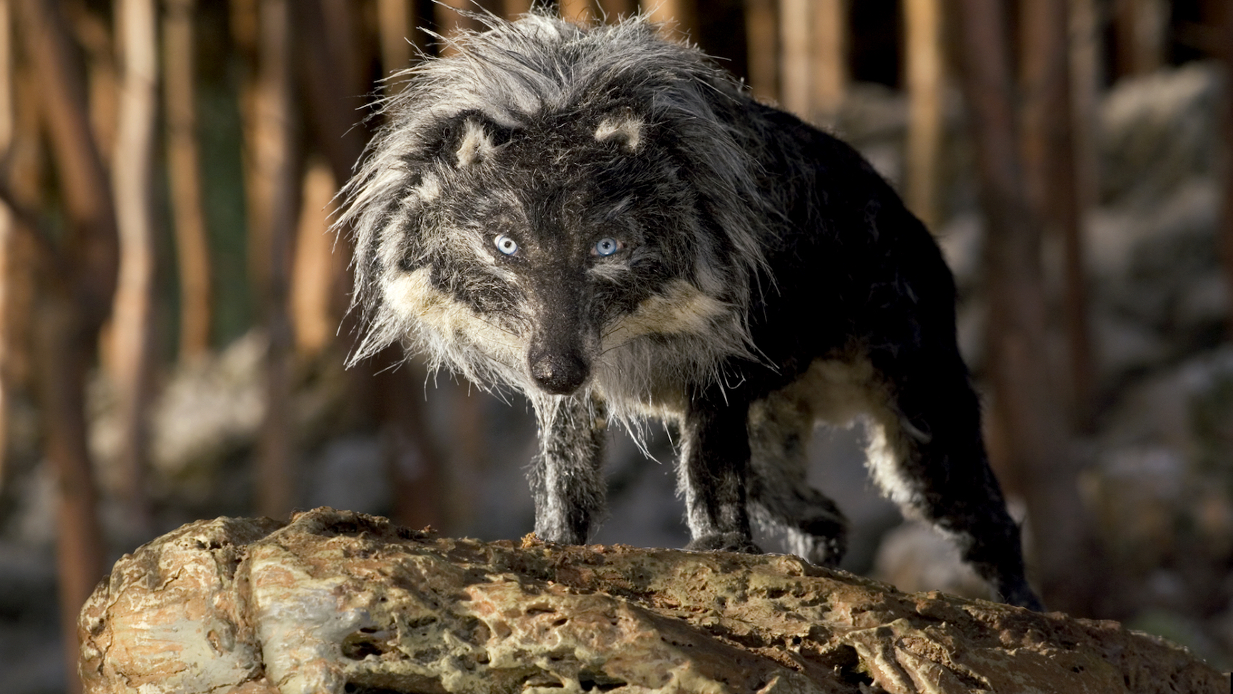 8_p&w_pictures gallery.jpg