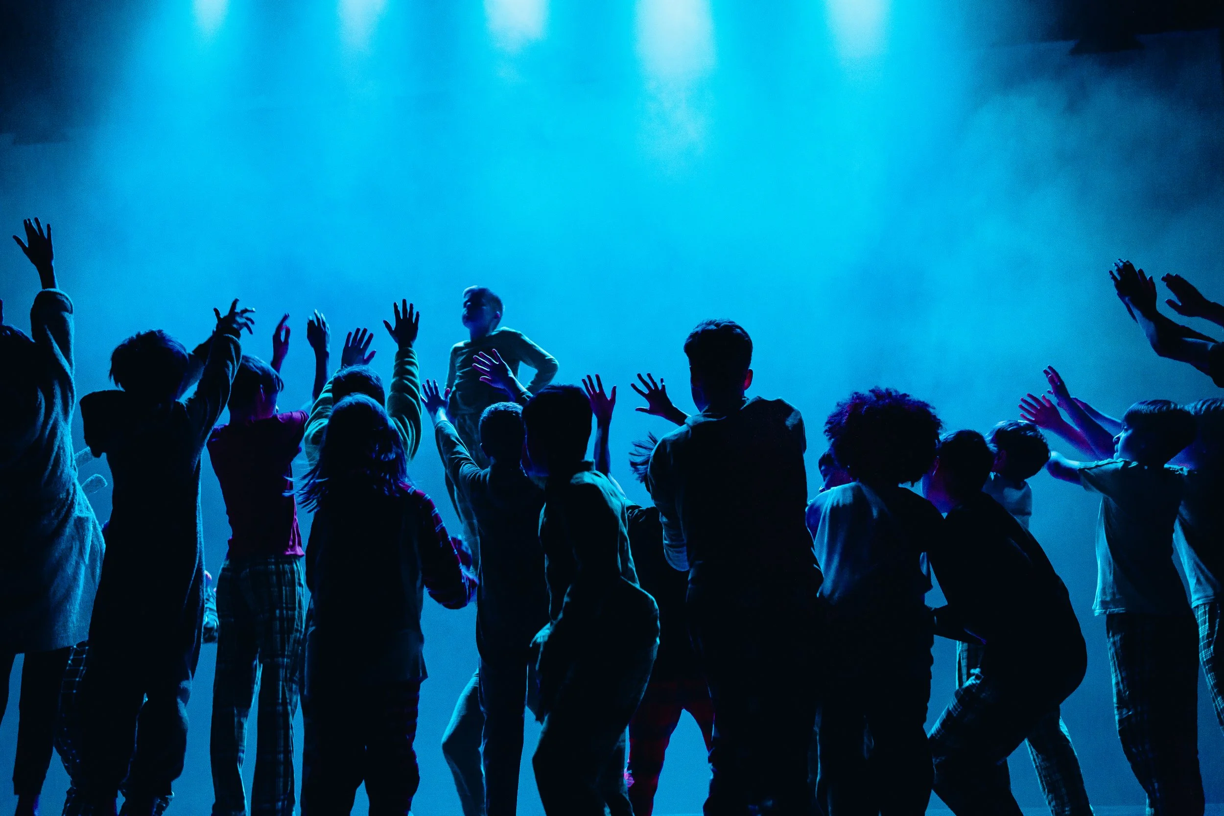 ZoieLogic Dance Theatre presents ManMade 2026