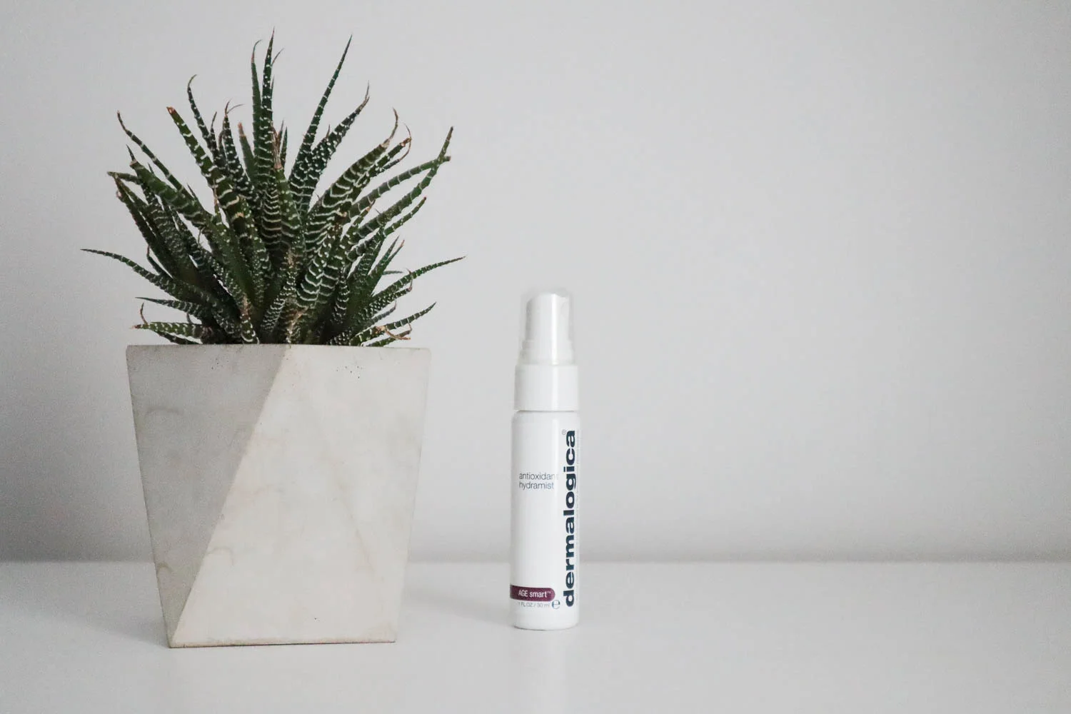 Antioxidant Hydramist (Travel Size)