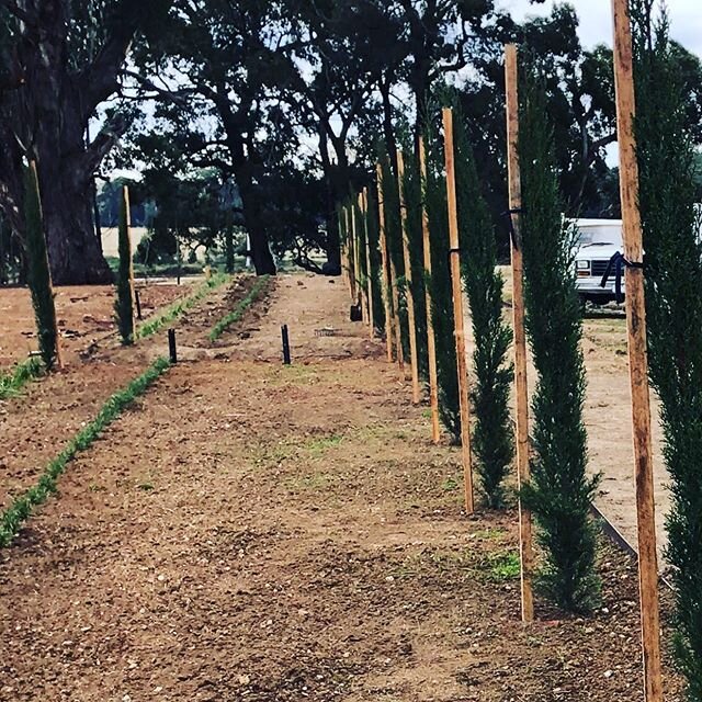 The Farm Daylesford #thefarmdaylesford #plants #planting #daylesford #weddingbarn #weddings #thehousesdaylesford #love