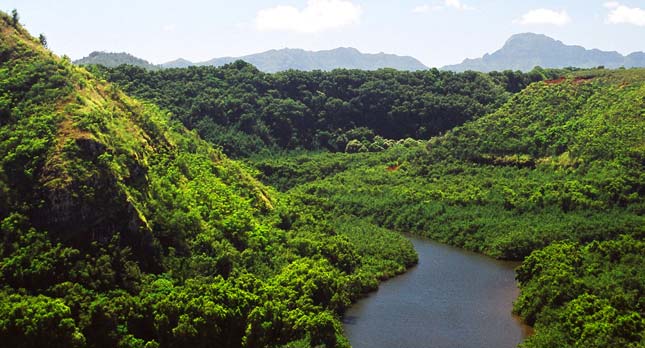 wailuarivervalley.jpg