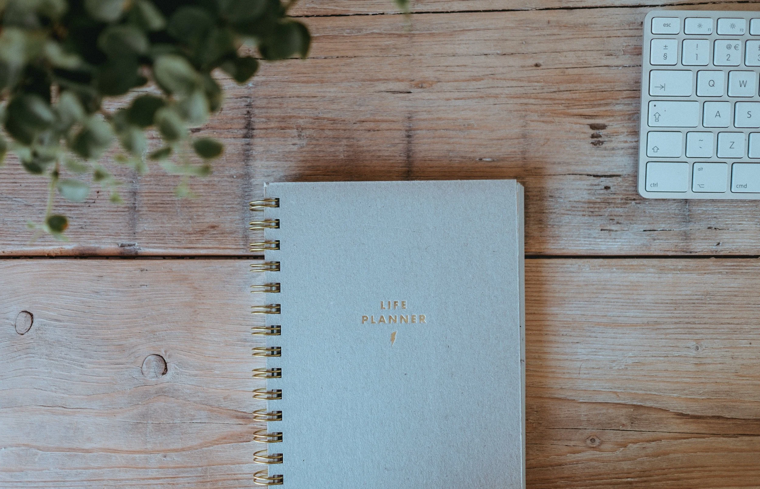 annie-spratt-277551-unsplash.jpg