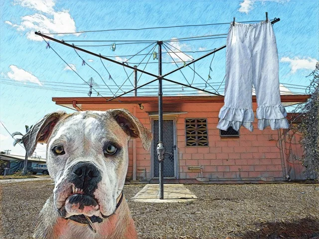 bloomers gfix 2.jpeg