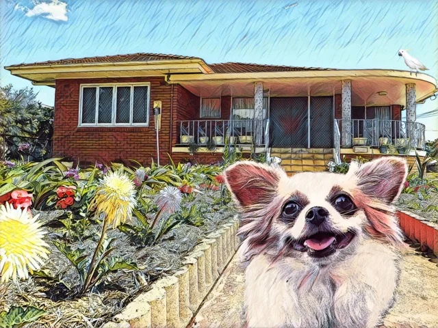 pixie med full mix plus bird.jpeg