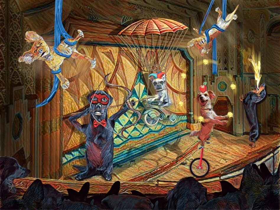 bow and arrow 2.jpeg