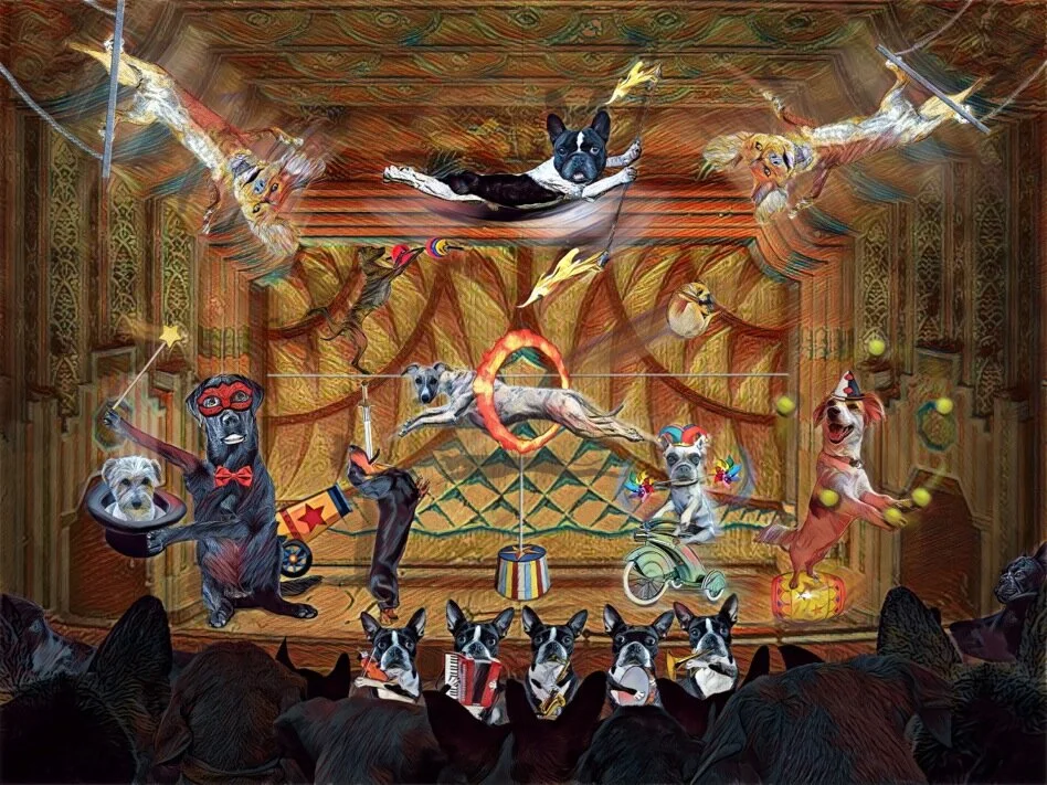 circus tent 2020 v2.jpeg