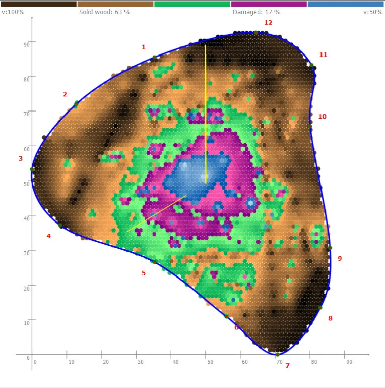 PiCUS Sonic Tomograph visualisation of decay within a tree.