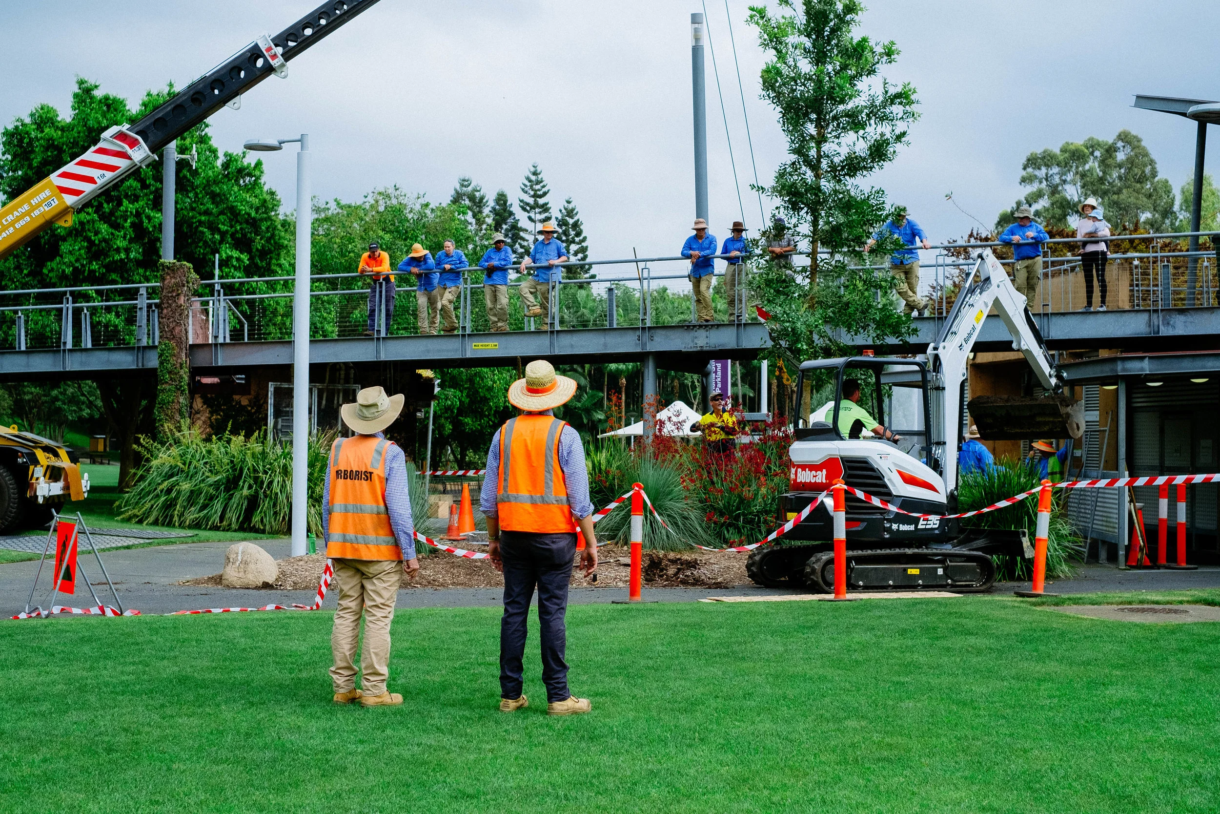 Independent Arboricultural Services Directors Andrew Rankine (L) and Roger Rankine (R) overseeing the relocation of an Agathis Robusta (Queensland kauri pine) from a property near Toowoomba to its new home at the Roma Street Parklands. The Independent Arboricultural Services team consult to parks and facilities managers all over Australia.