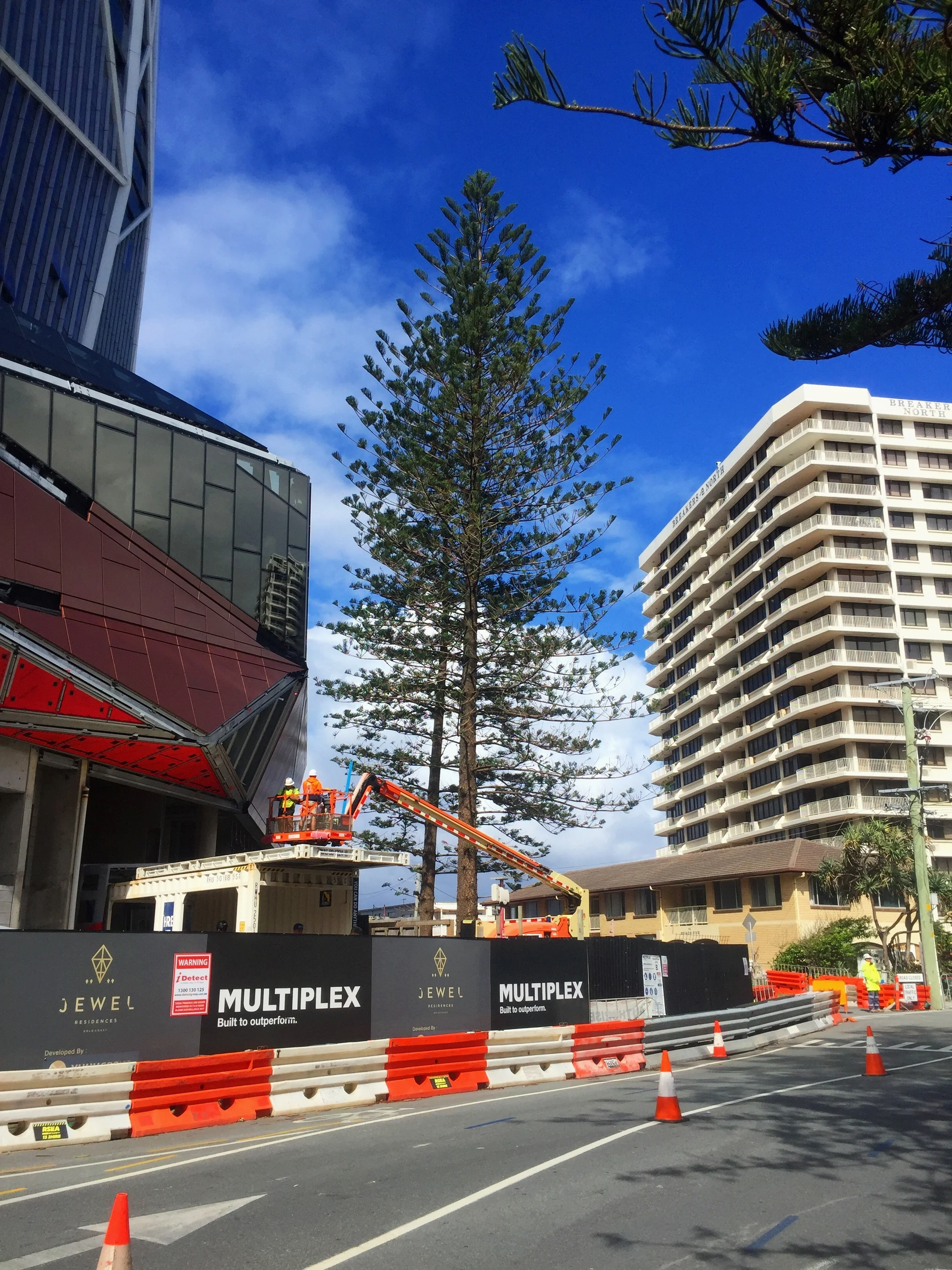 Independent Arboricultural Services is the Consulting Arborist to the Jewel Residences on the Gold Coast