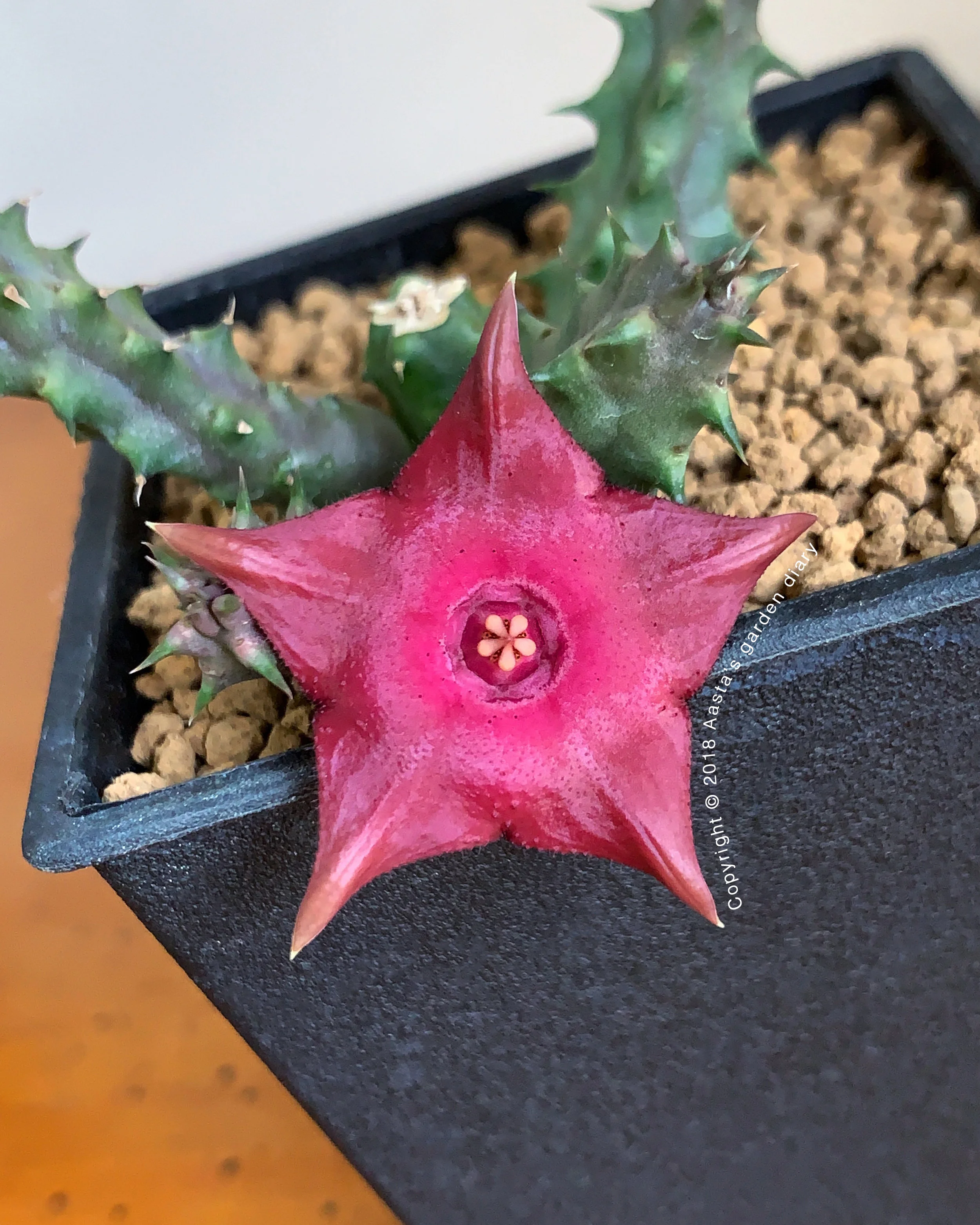 158EAB01-CA76-47E4-98A3-1C3F18E24717