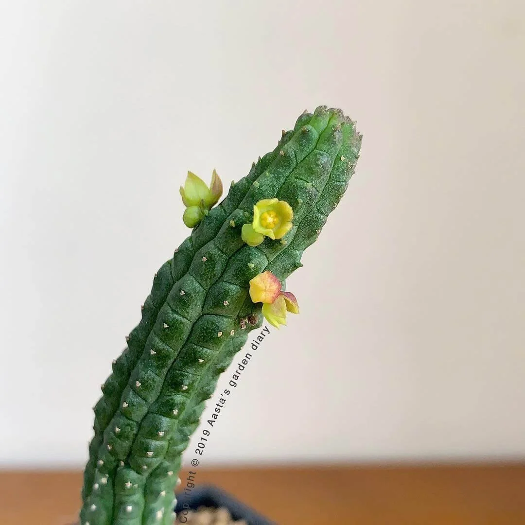 705E56A2-4768-4FDB-BD78-4F292A925A1B