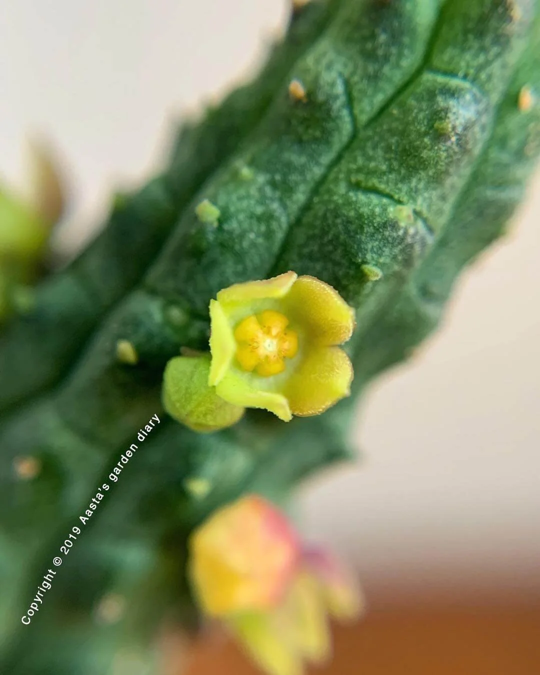 2D438E60-9F73-44E1-9F67-68169F9A0DA9