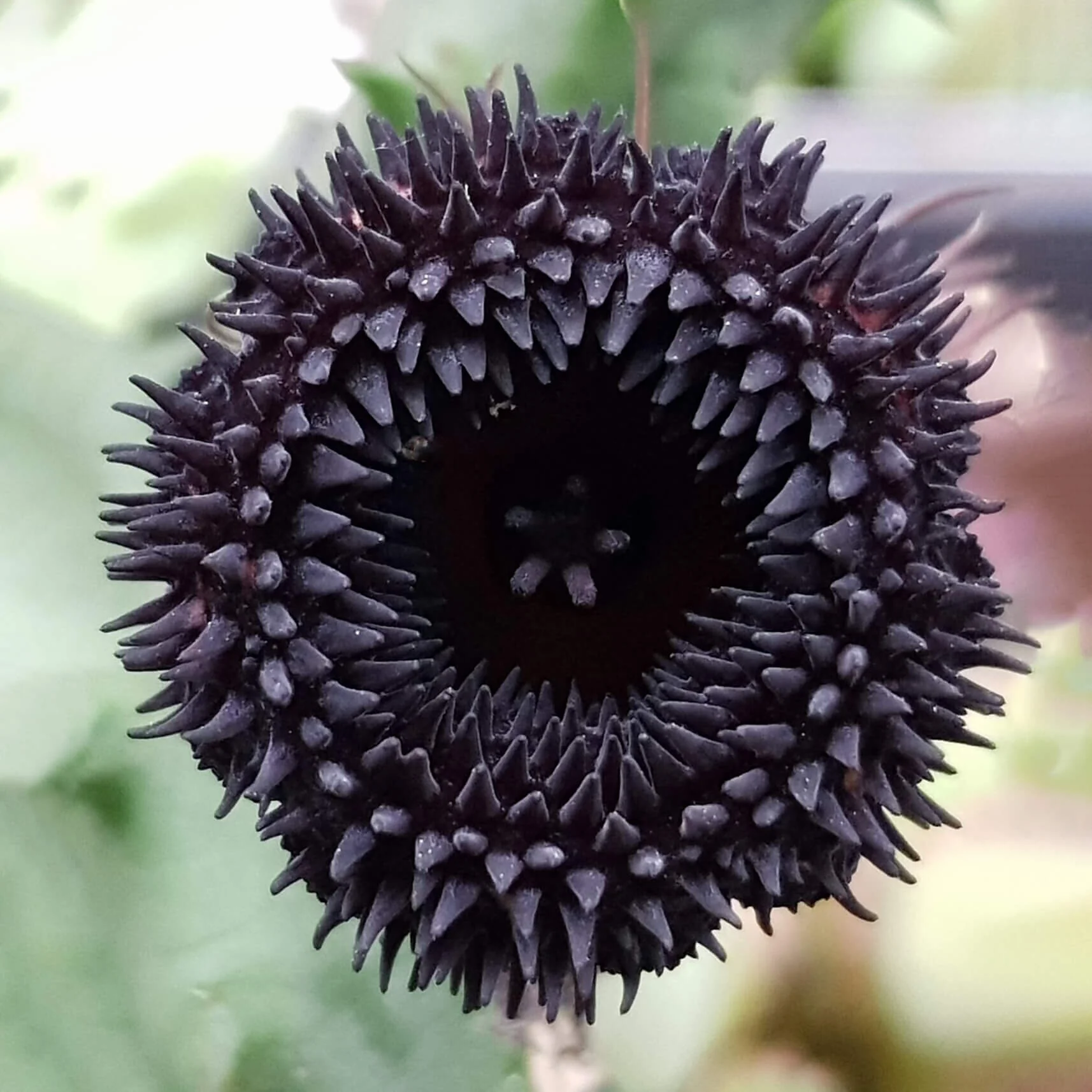 9BA3C3A4-E589-4260-9FC0-94B4B46AB658