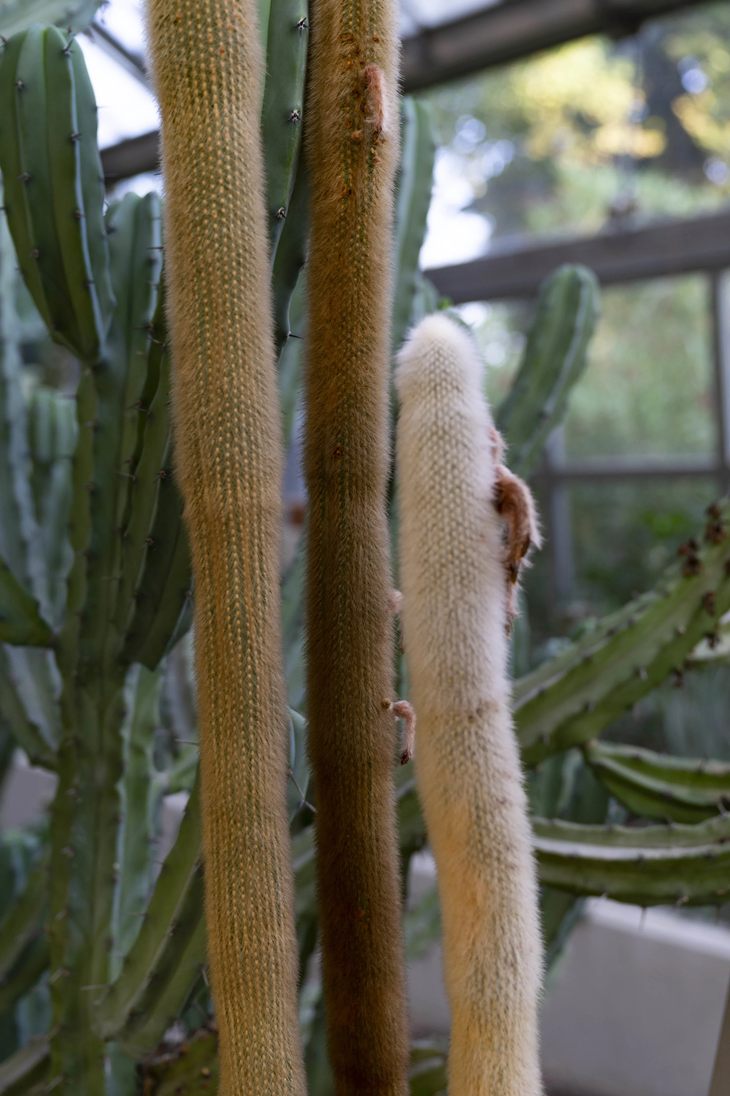 DSC03156-.jpg