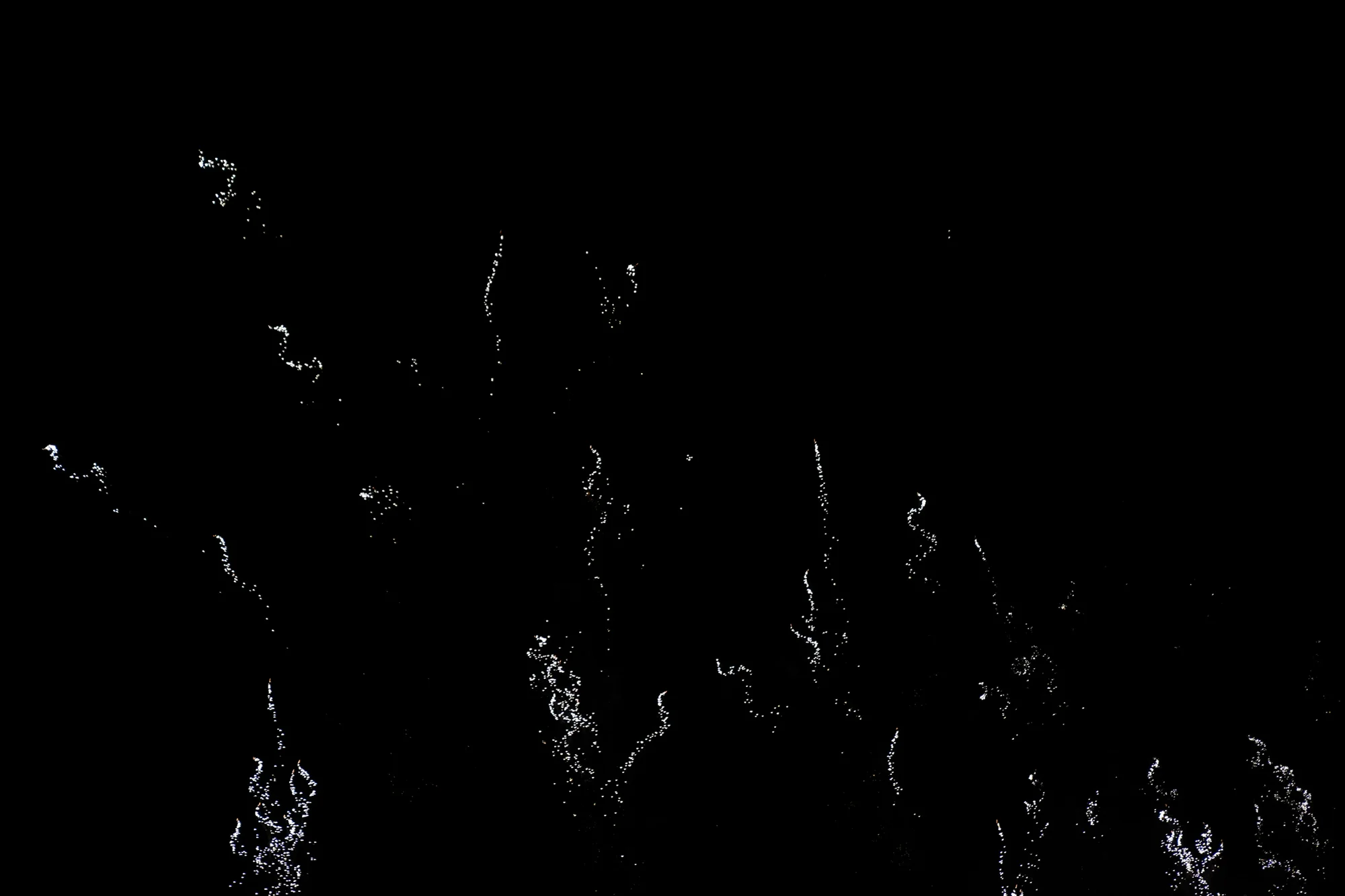 CaballeroCosmica-Veranos-de-la-villa-Fuegos-Artificiales-89.jpg