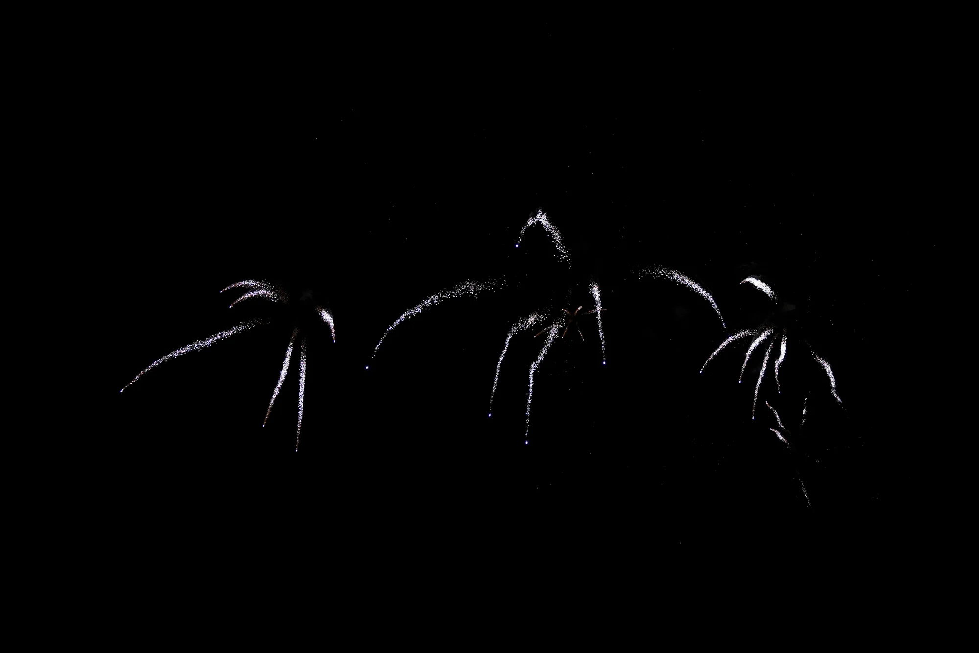 CaballeroCosmica-Veranos-de-la-villa-Fuegos-Artificiales-163.jpg