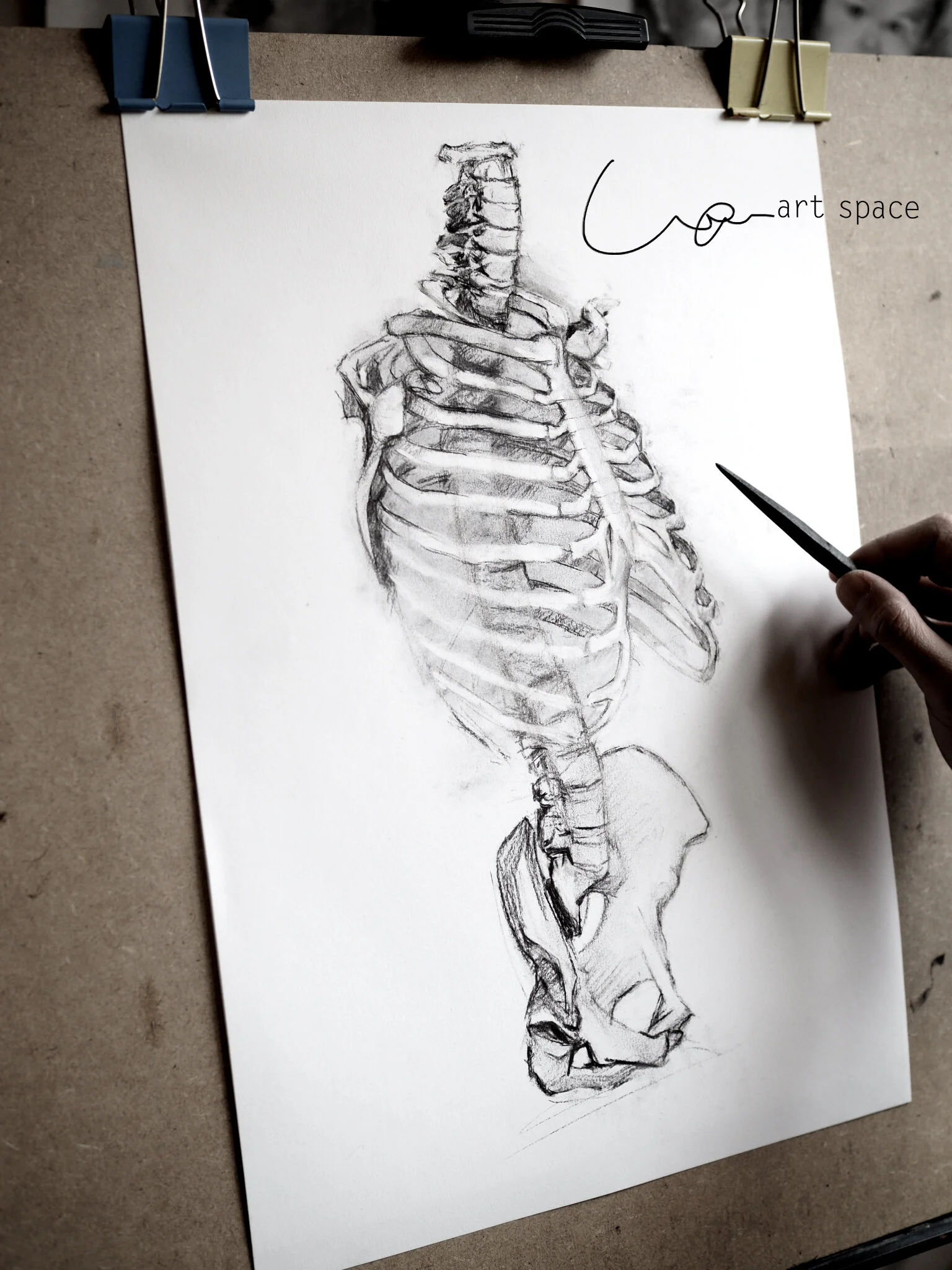 charcoal on paper 