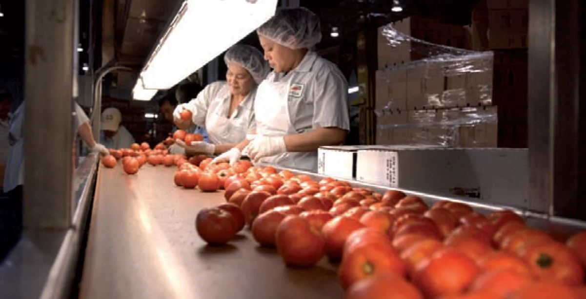 The Class Produce Group