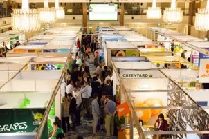 exhibition.jpg