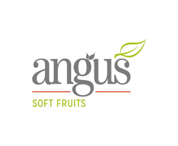 Angus_Soft_Fruits.png