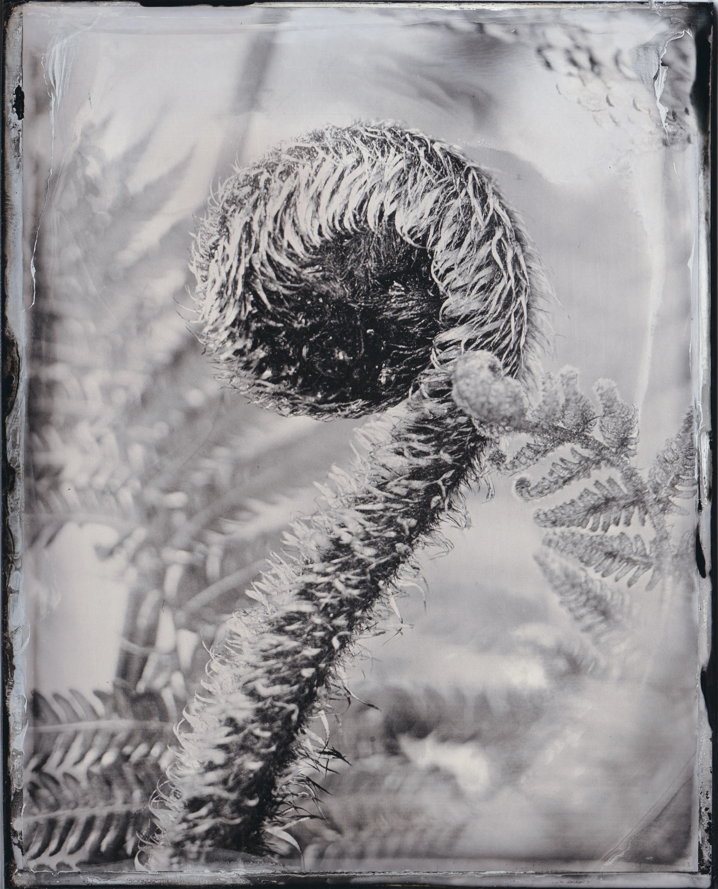 Furled