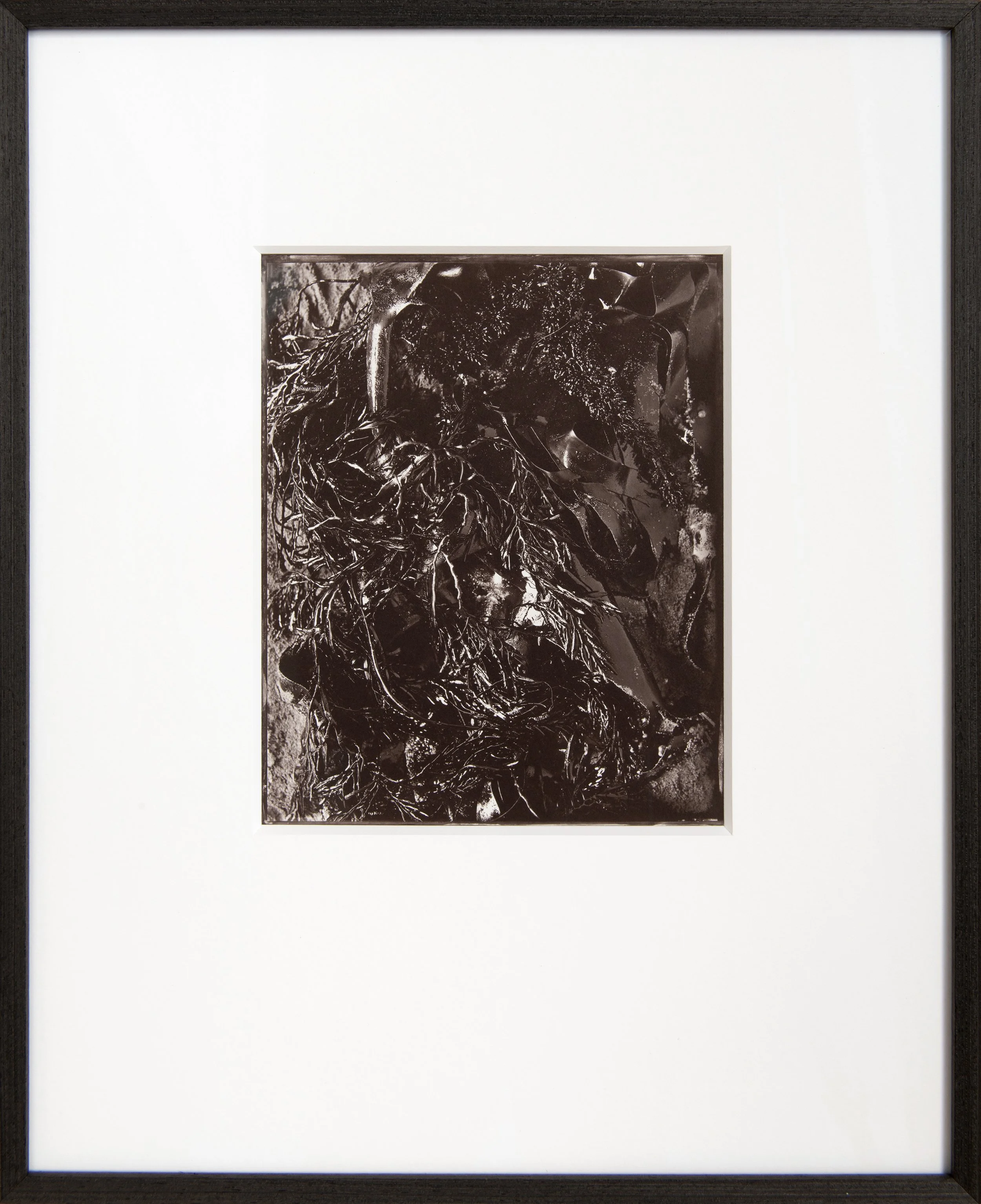 Washed Up , 8x10" Salt Print from a wet collodion glass negative . Custom framed . (edition of 3).